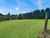 565 Kerikeri Road photo 6