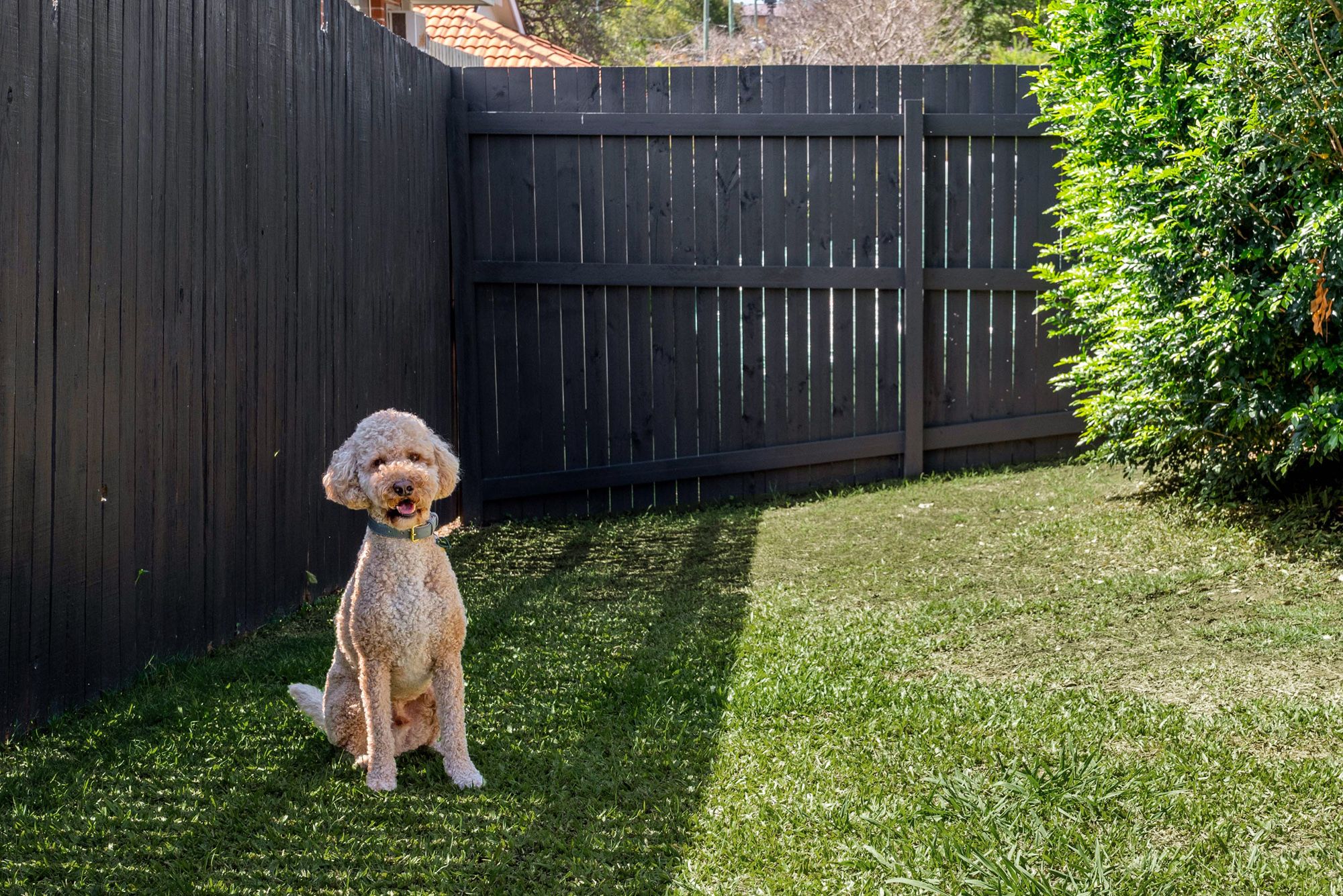 5/10 Rowe Close — photo 15 of 18