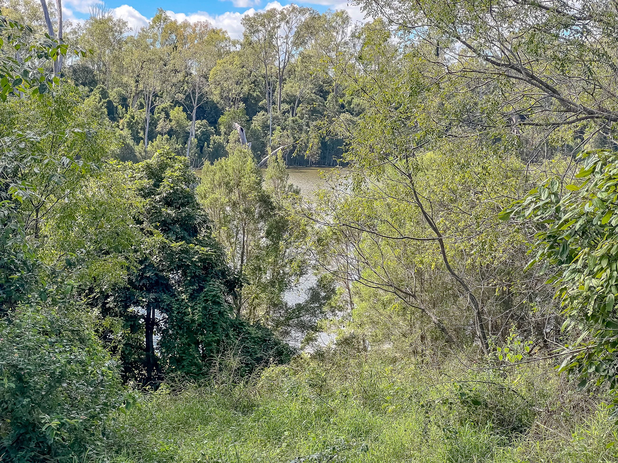 151 Findlay Road, Duingal, QLD 4671