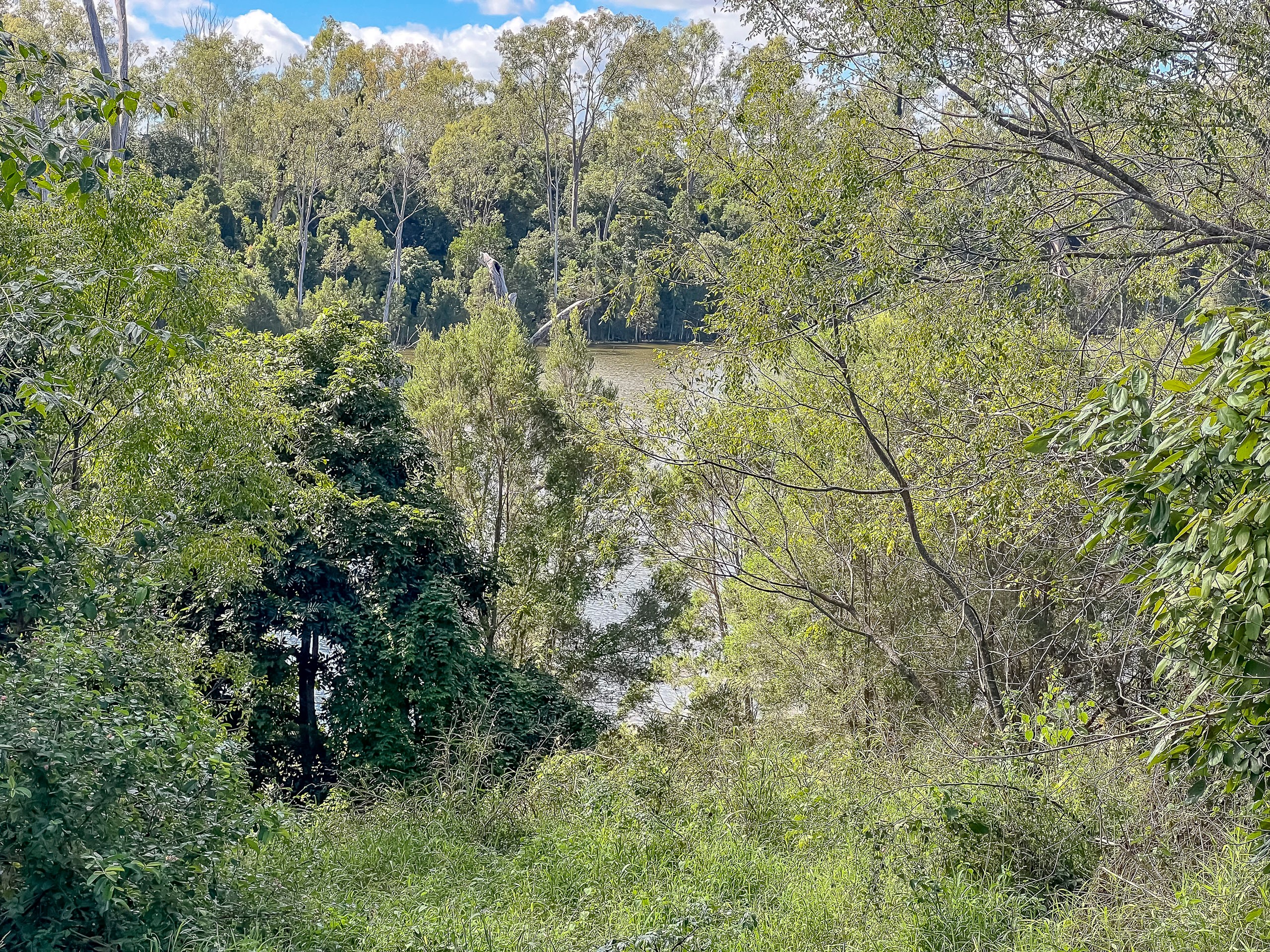 151 Findlay Road, Duingal, QLD 4671