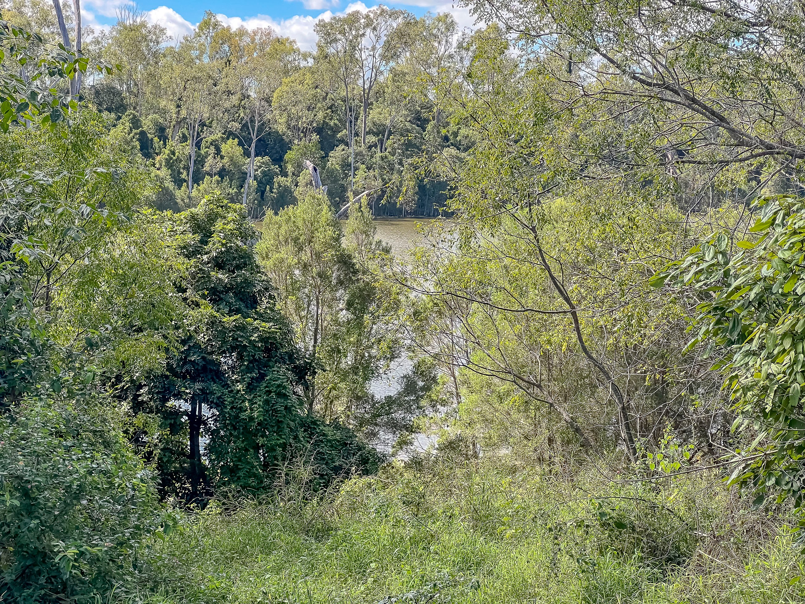 151 Findlay Road, Duingal, QLD 4671