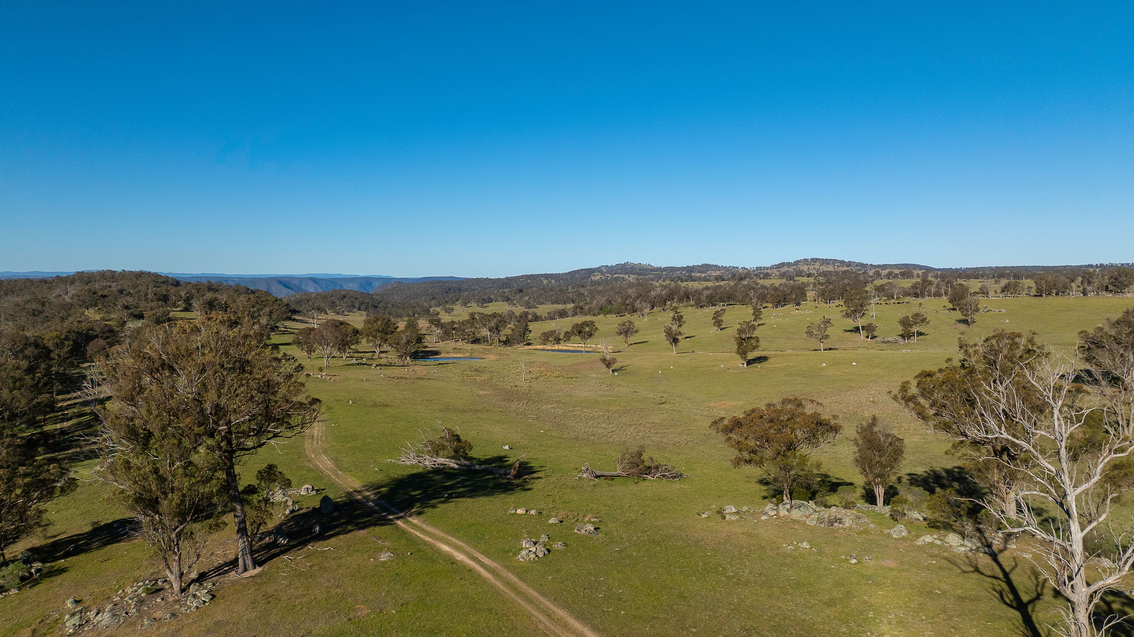 "Spring Camp" 221 Spring Camp Road — photo 19 of 30