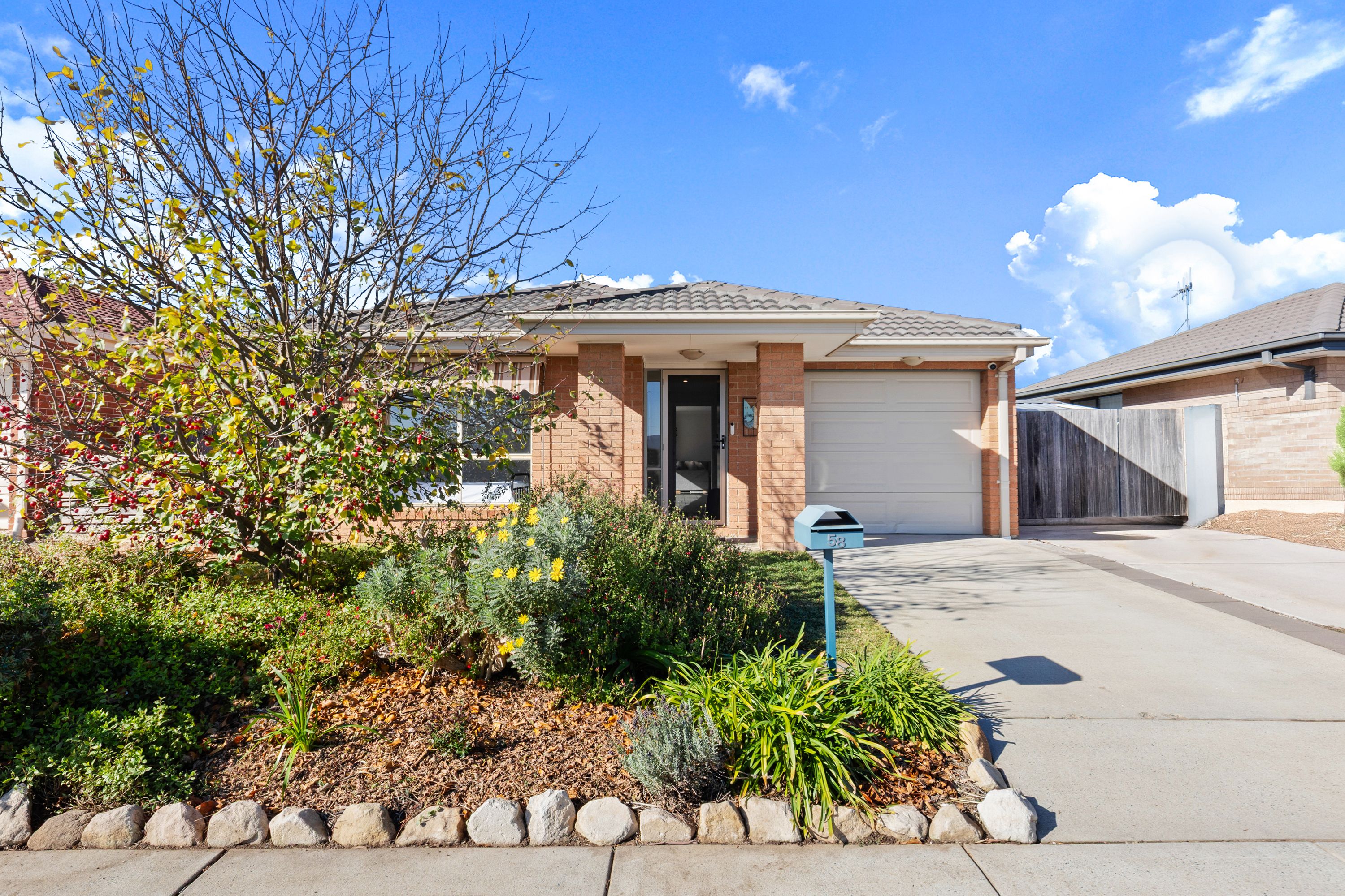 58 Eccles Circuit, Macgregor, ACT 2615