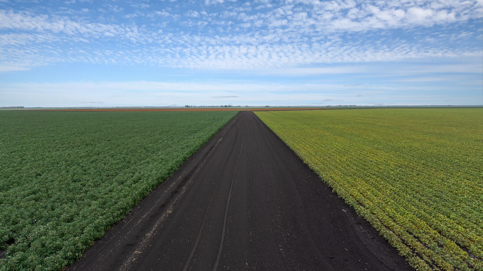 Melrose Road, Brookstead, QLD 4364