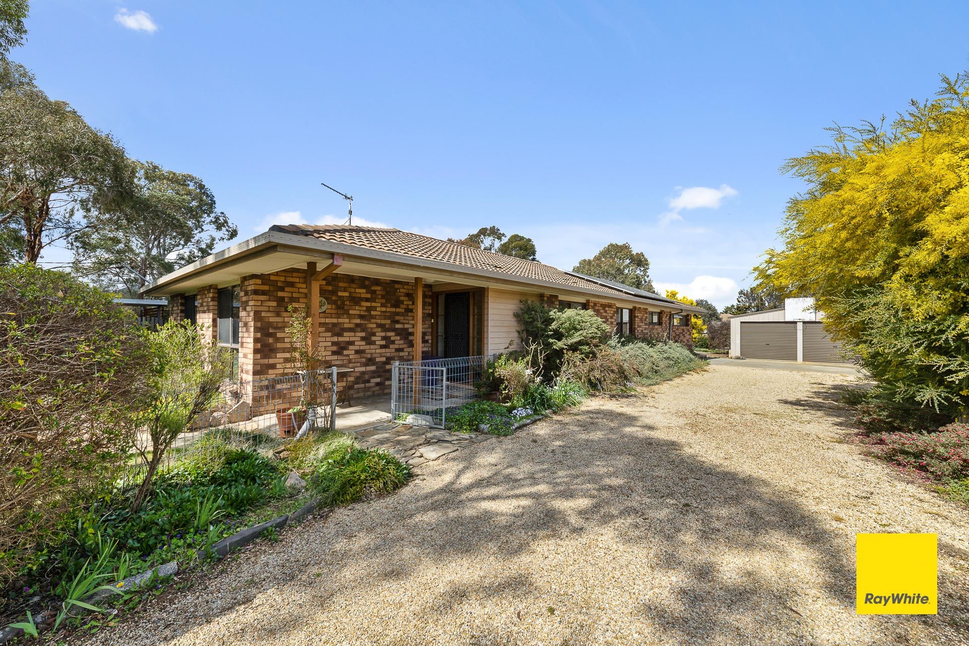 15 Forster Street — photo 22 of 22