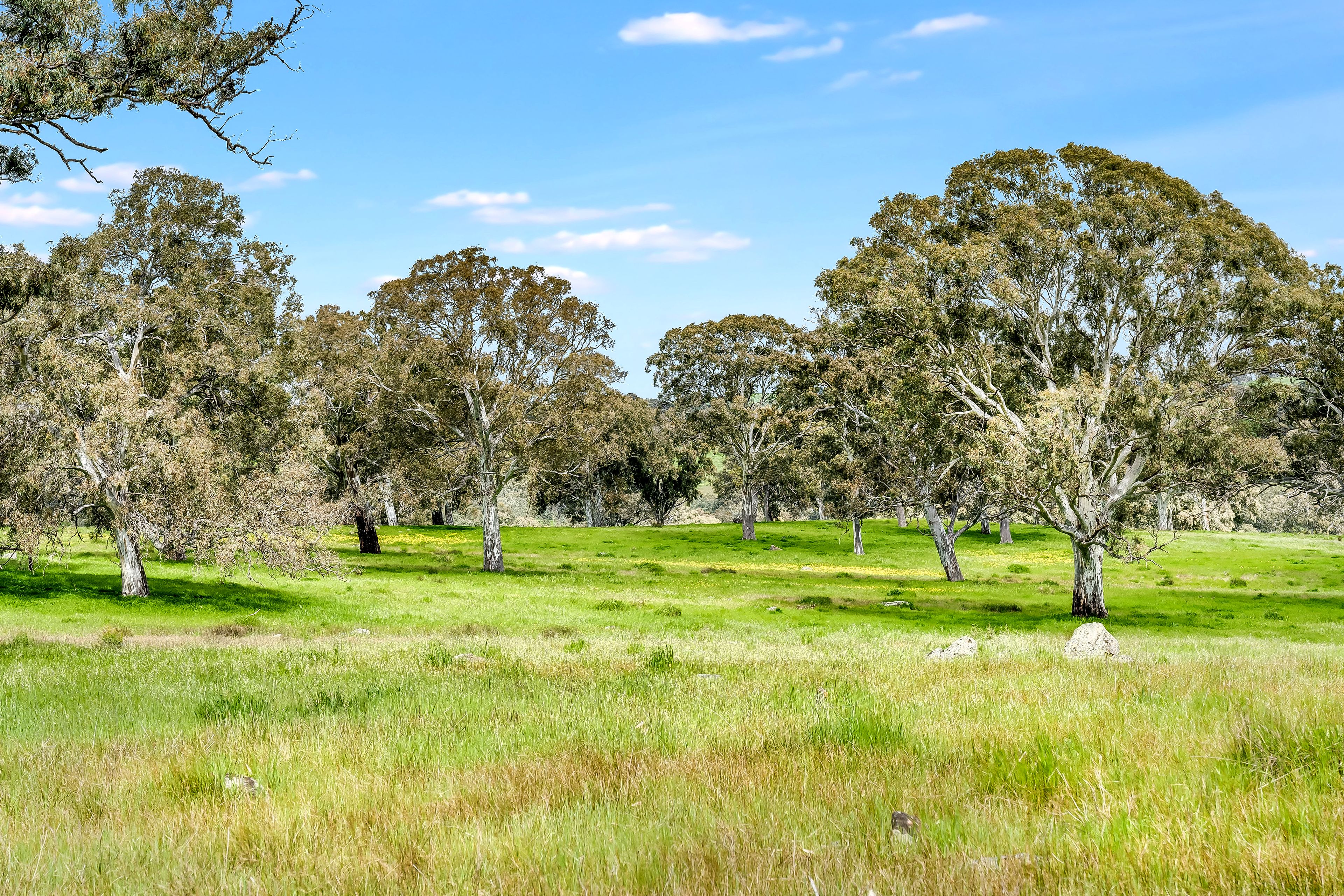 Lot 64 Ironstone Range Road, Nairne, SA 5252