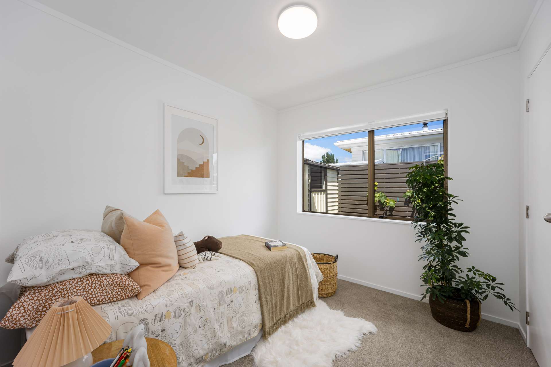 24A Manly Park Avenue photo 12