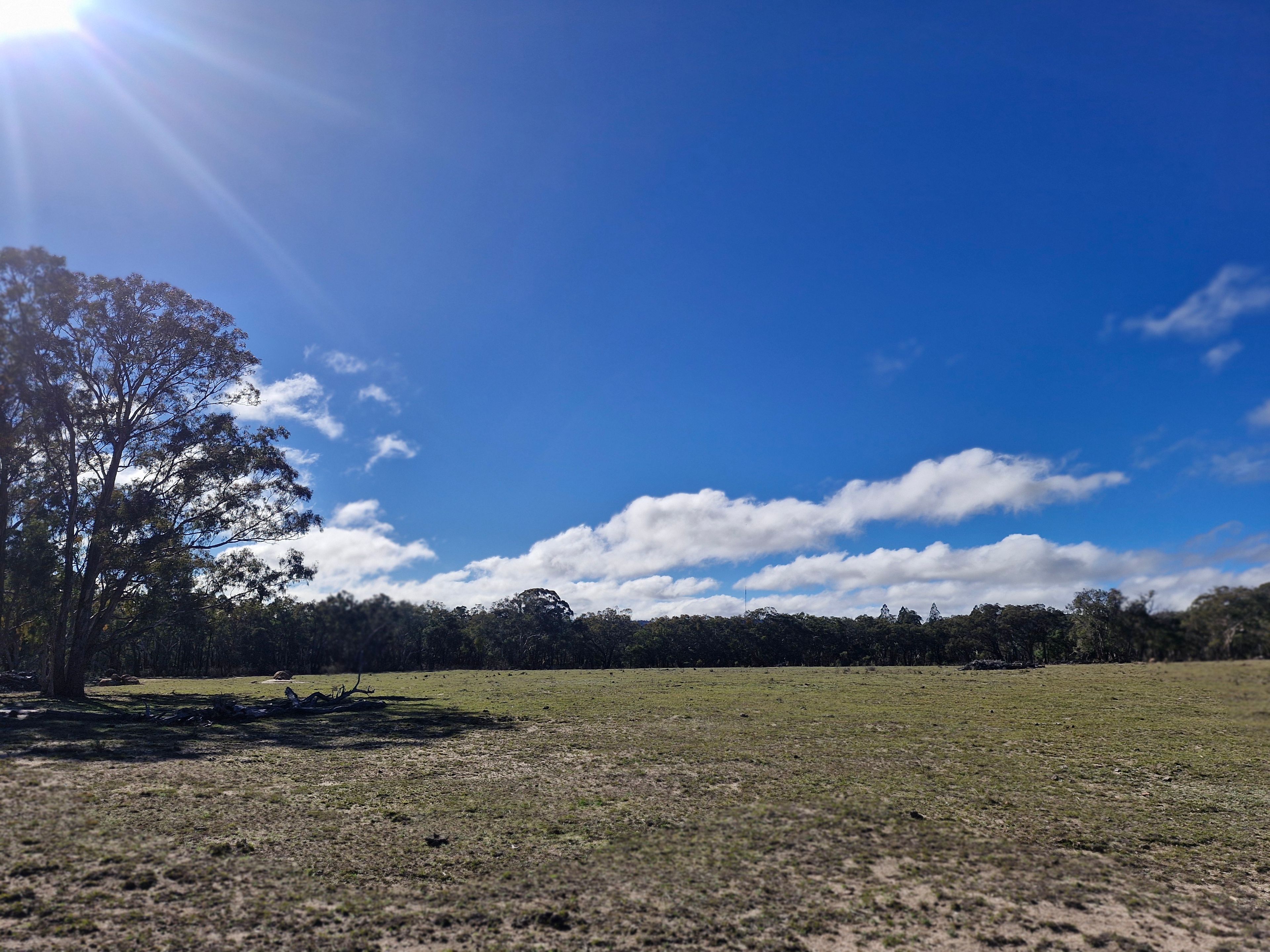 Lot 42 Ravensmoor Road — photo 4 of 13
