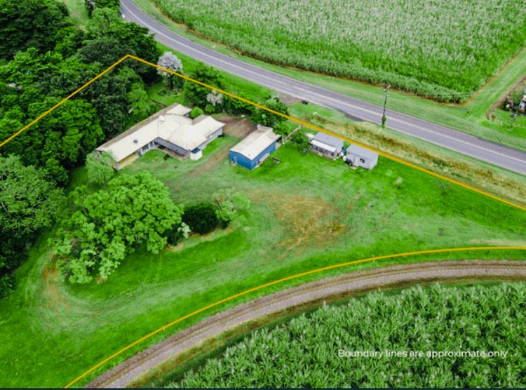 573 Mount Peter Road, Mount Peter, QLD 4869