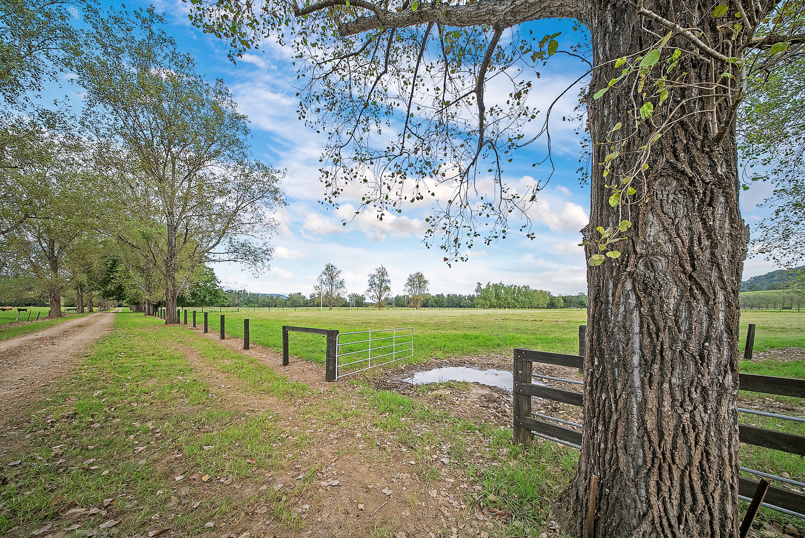 1301 Chichester Dam Road, Bandon Grove, Via, Dungog, NSW 2420