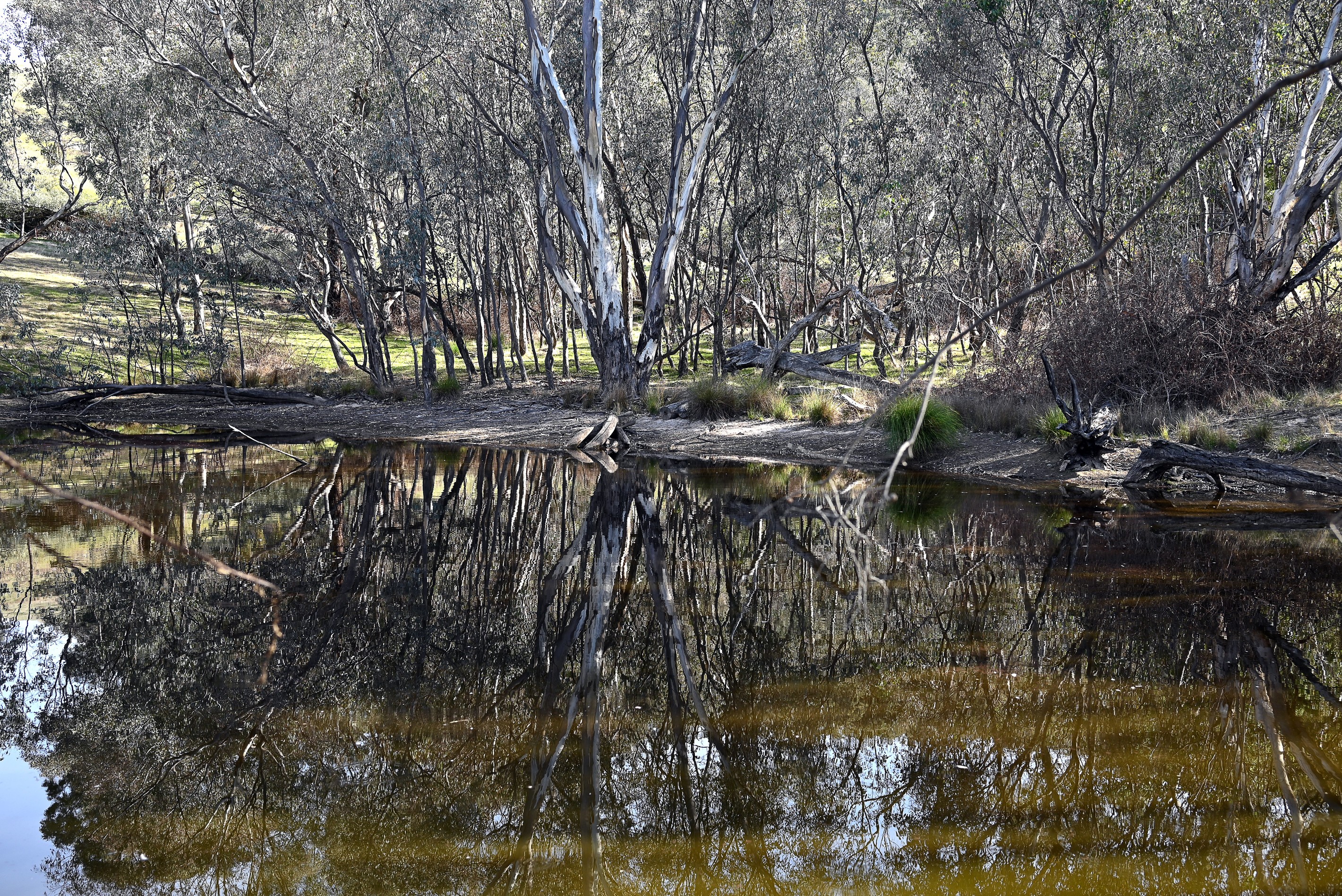 280 Mantons Road, Gundagai, NSW 2722