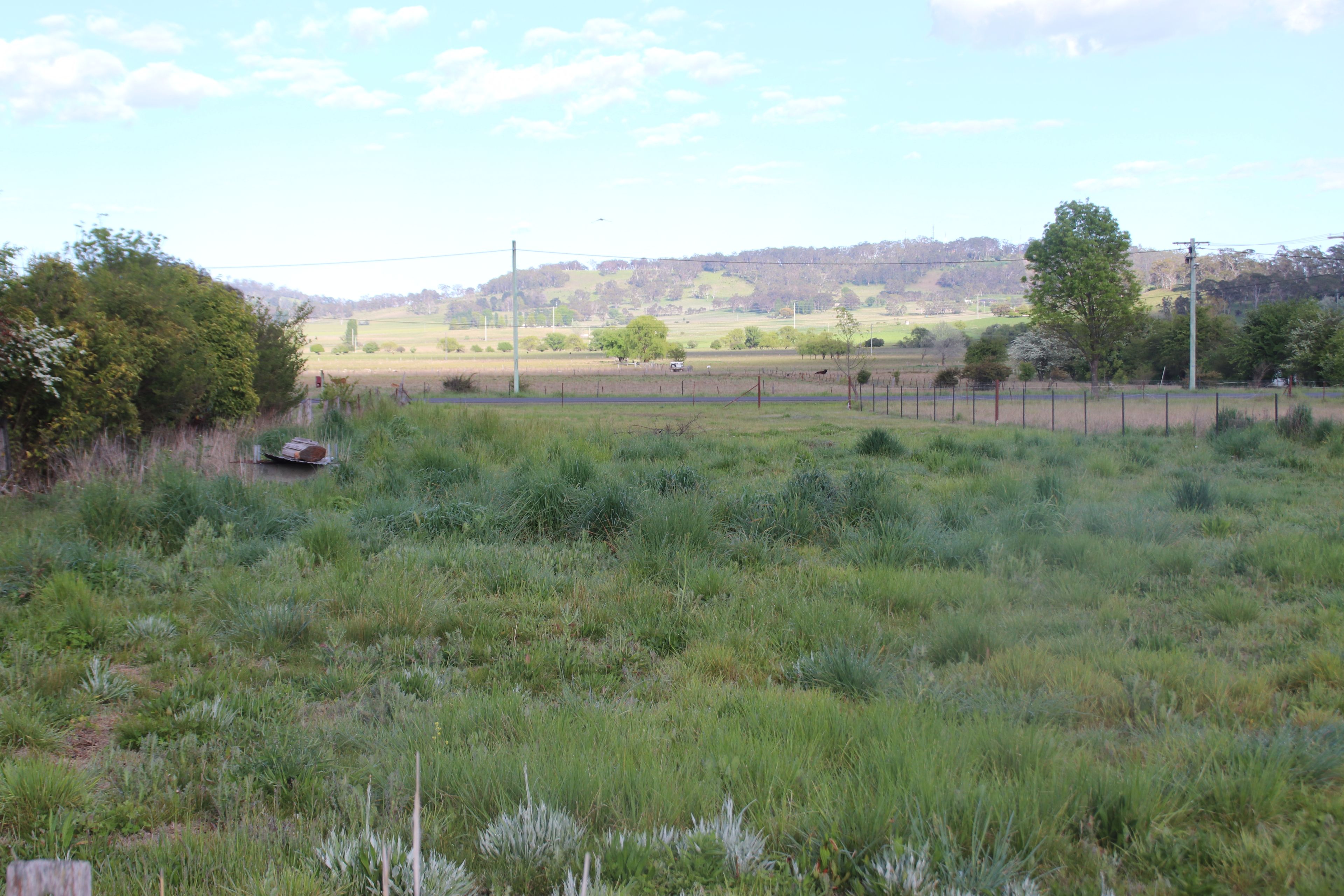 169 Derby, Glen Innes NSW 2370