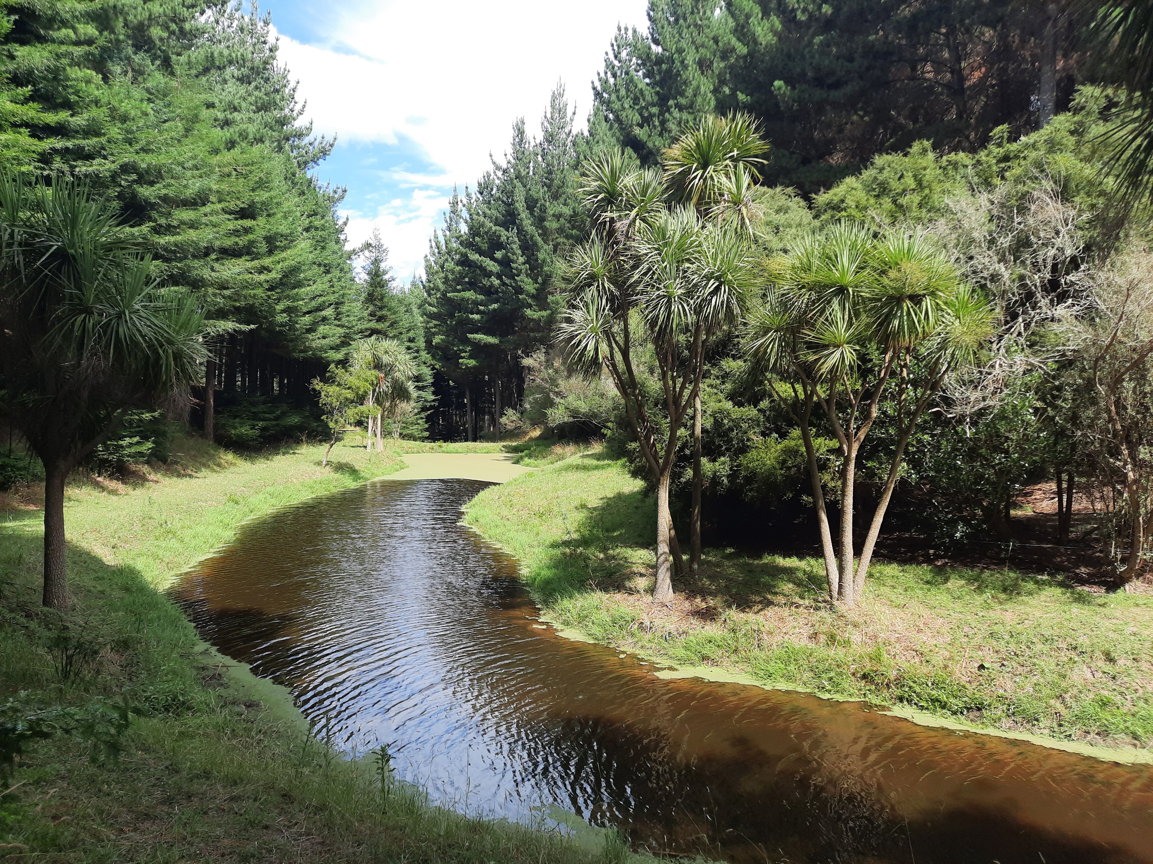 1061 Makino Road, Feilding, Manawatu District 4702 Rural Finishing