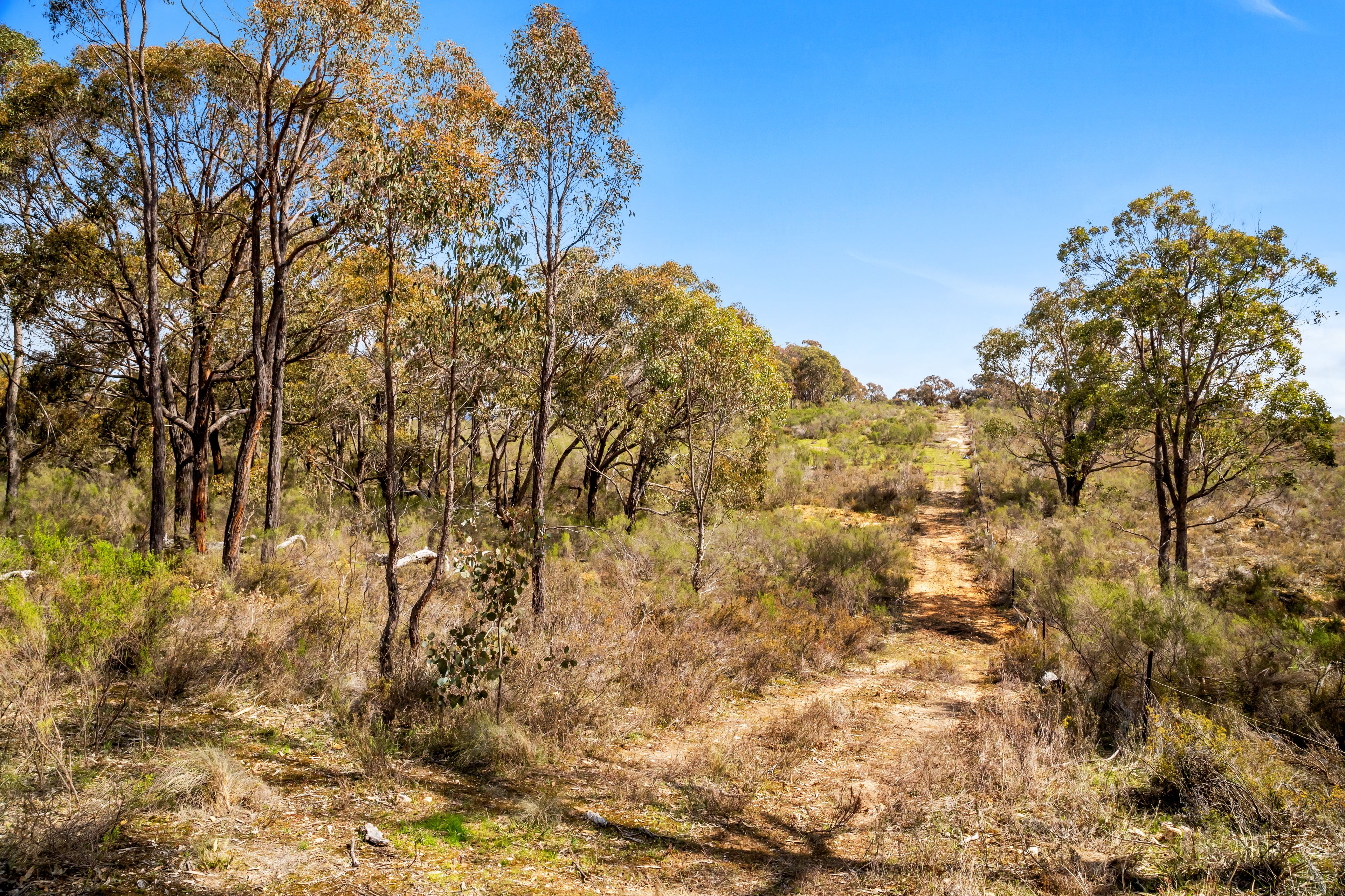 Allotments 5 & 6 Off Rifle Range Road, Amphitheatre, VIC 3468 - Sold ...