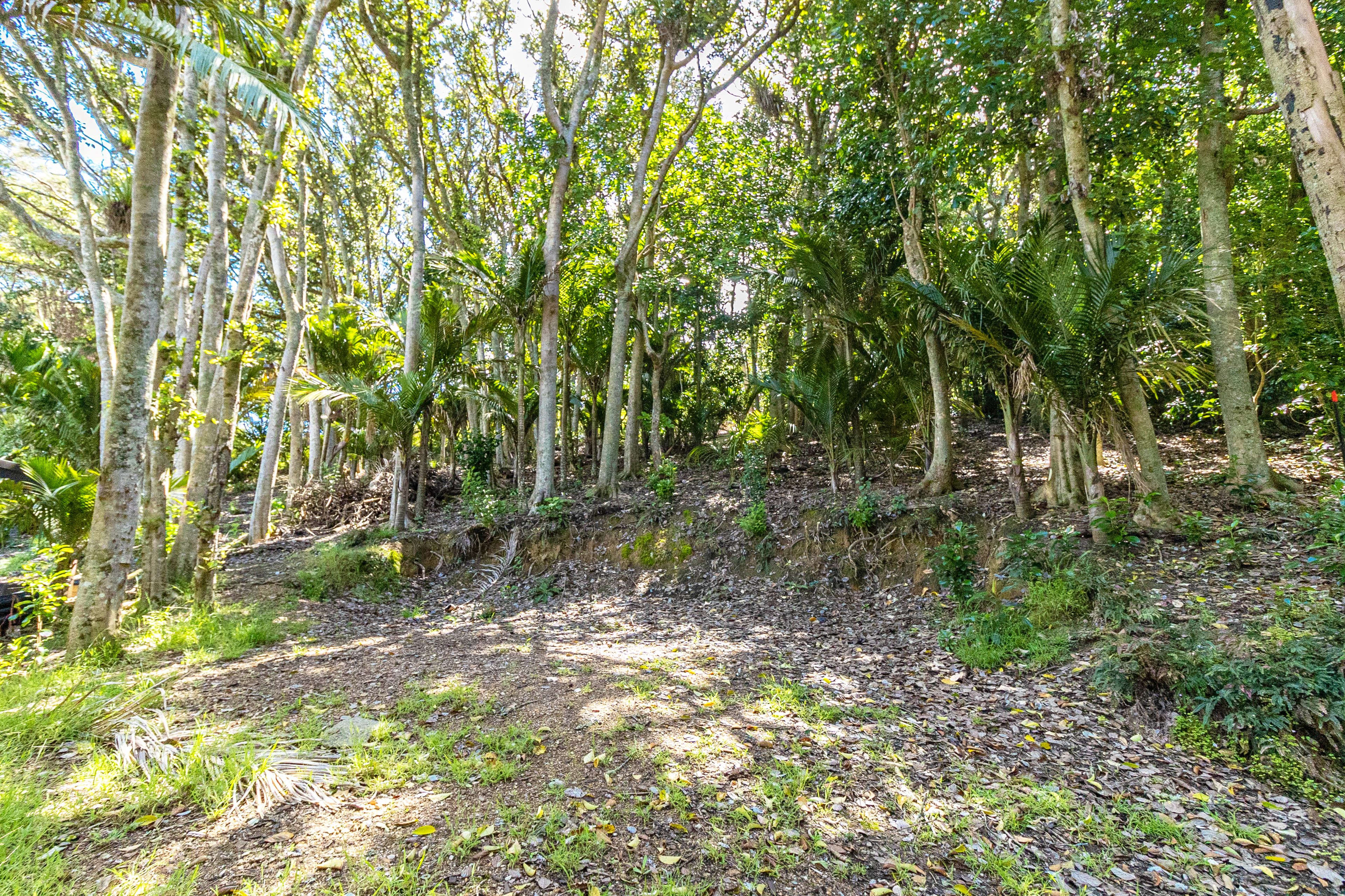 21 Wilma Road, Ostend, Waiheke Island