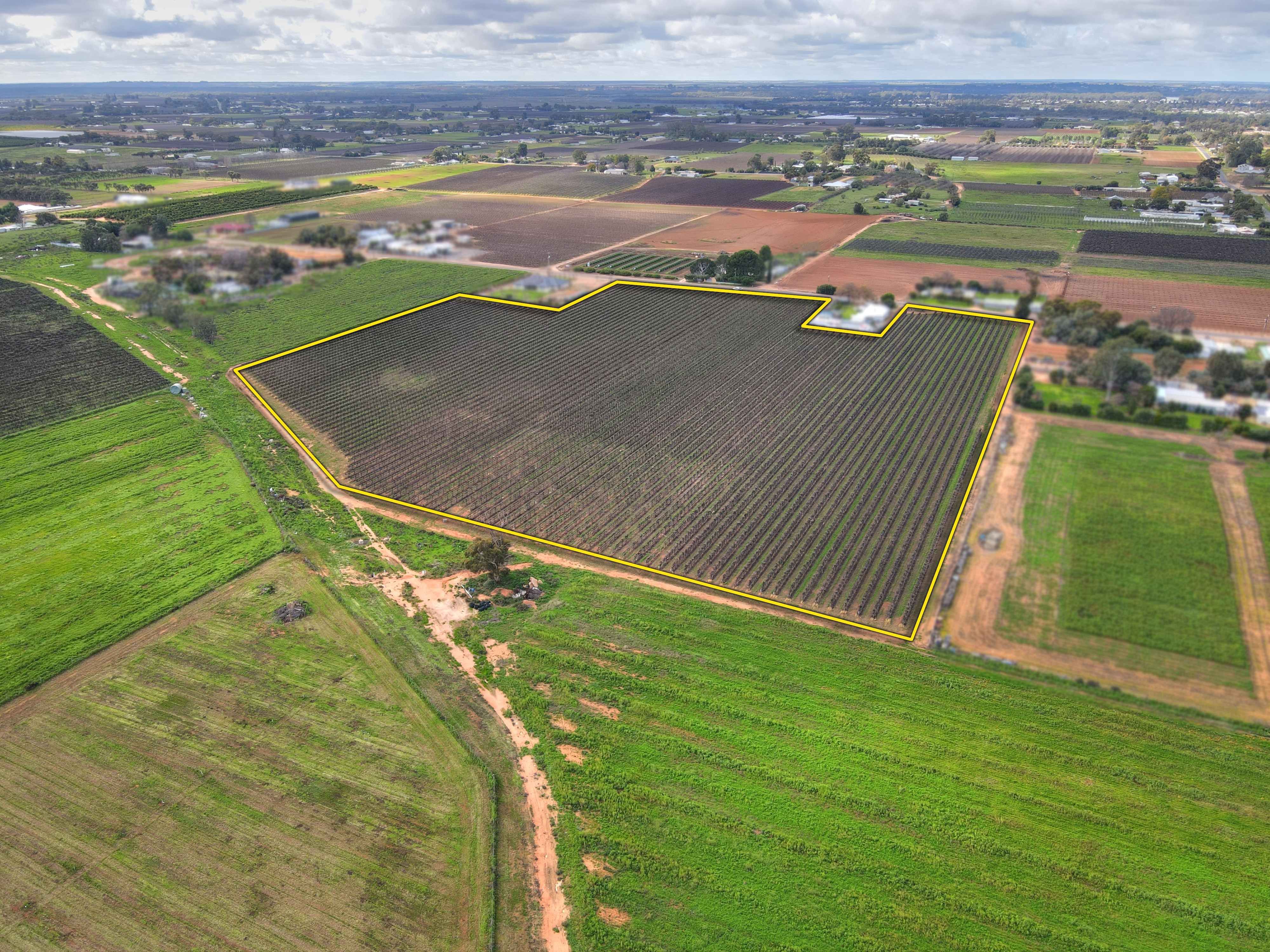 Lot 50 Chowilla Street, Renmark, SA 5341