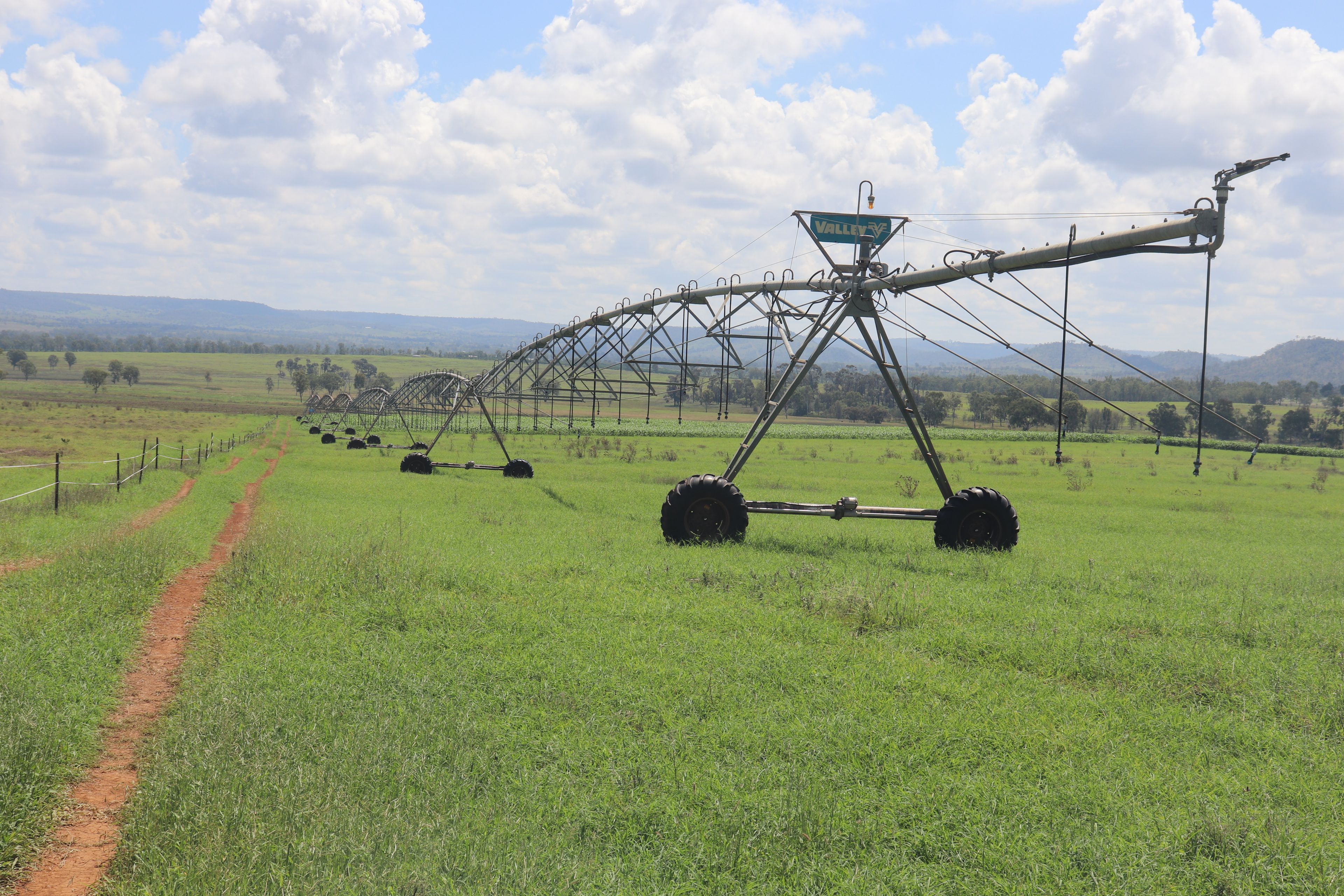 319 Back Glenrae Road, Glenrae, QLD 4626