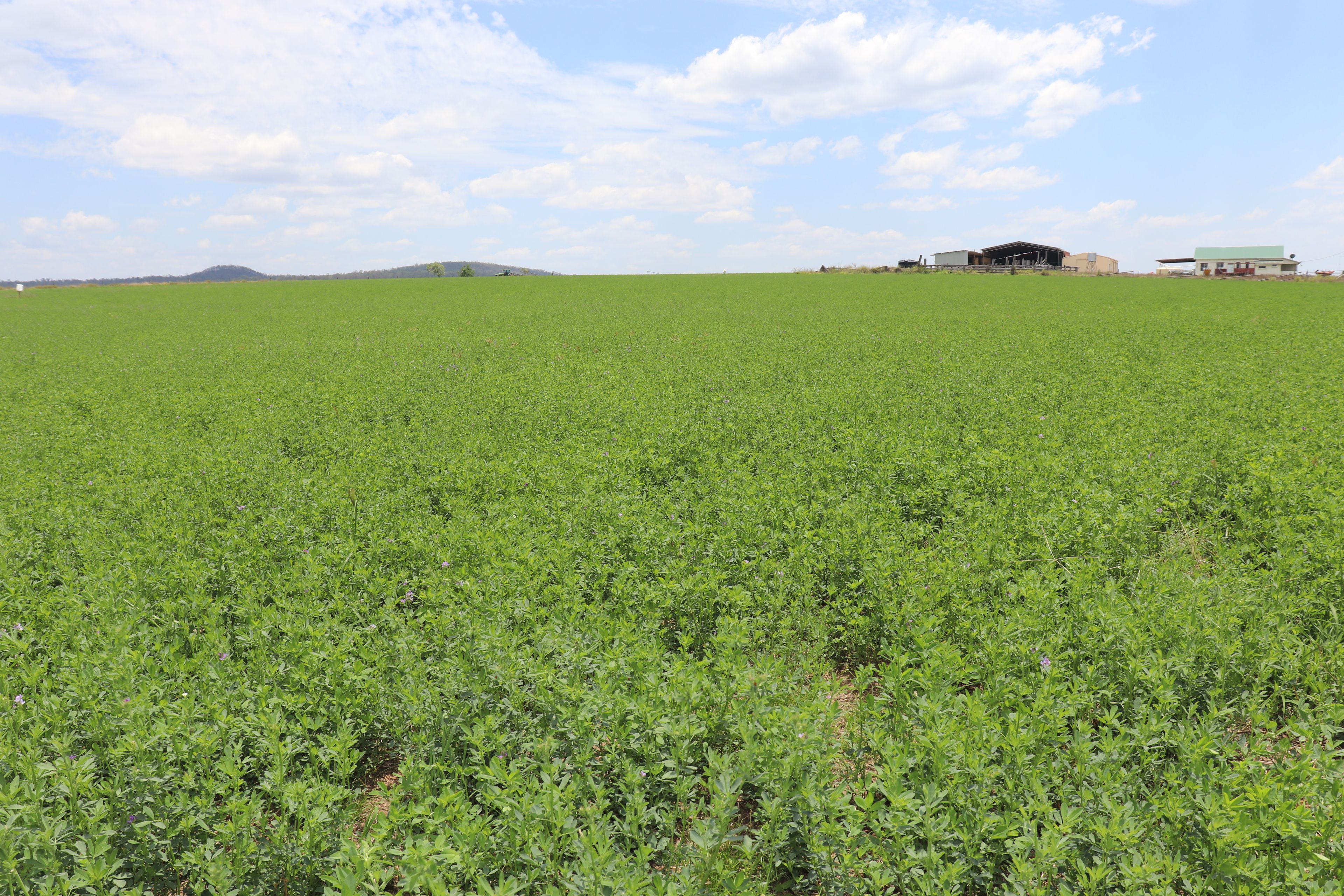 114 A Creek Road, Grosvenor, Eidsvold, QLD 4627 Rural Cropping