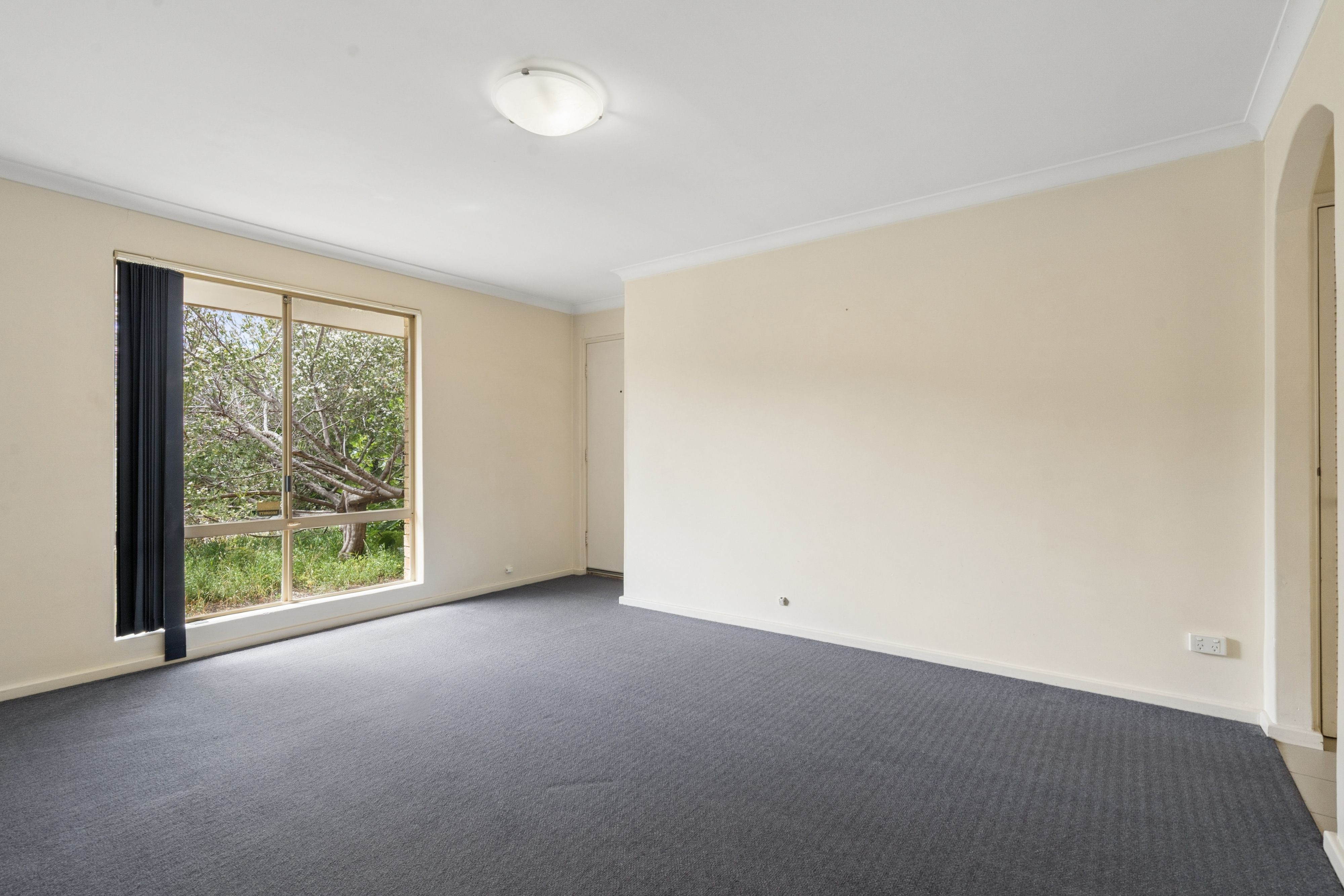 2/165 Holland Street — photo 7 of 26