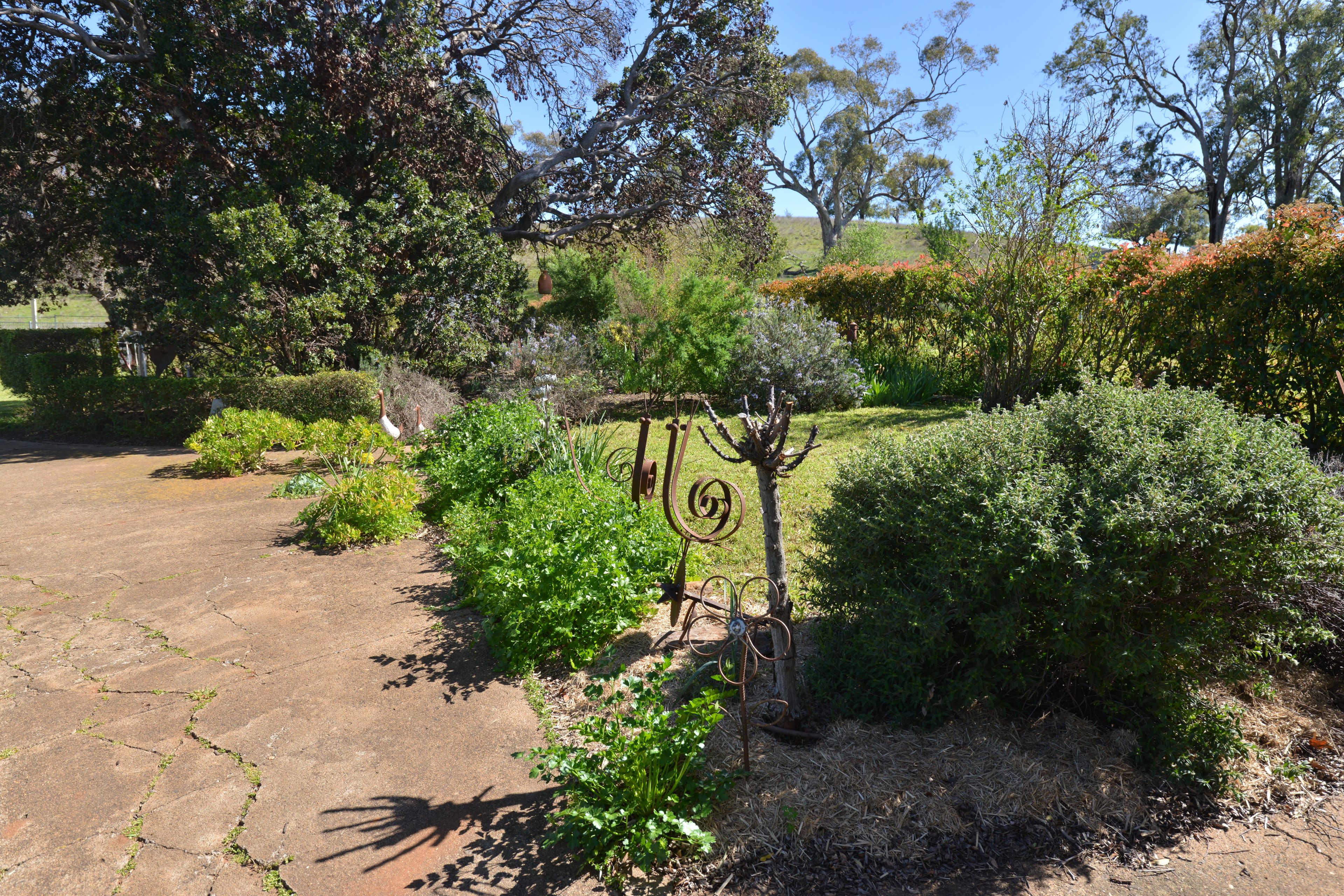 4861 Coonabarabran Road — photo 18 of 30