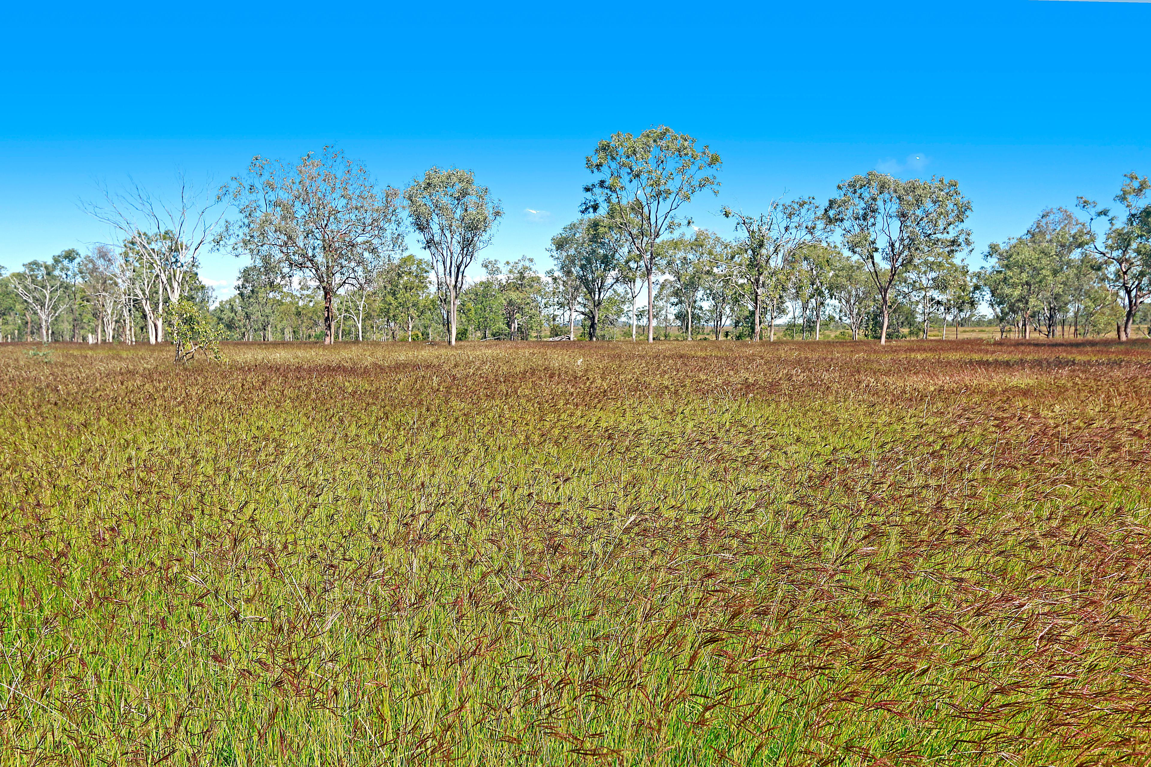 COMANCHE Road, Glenroy, QLD 4702