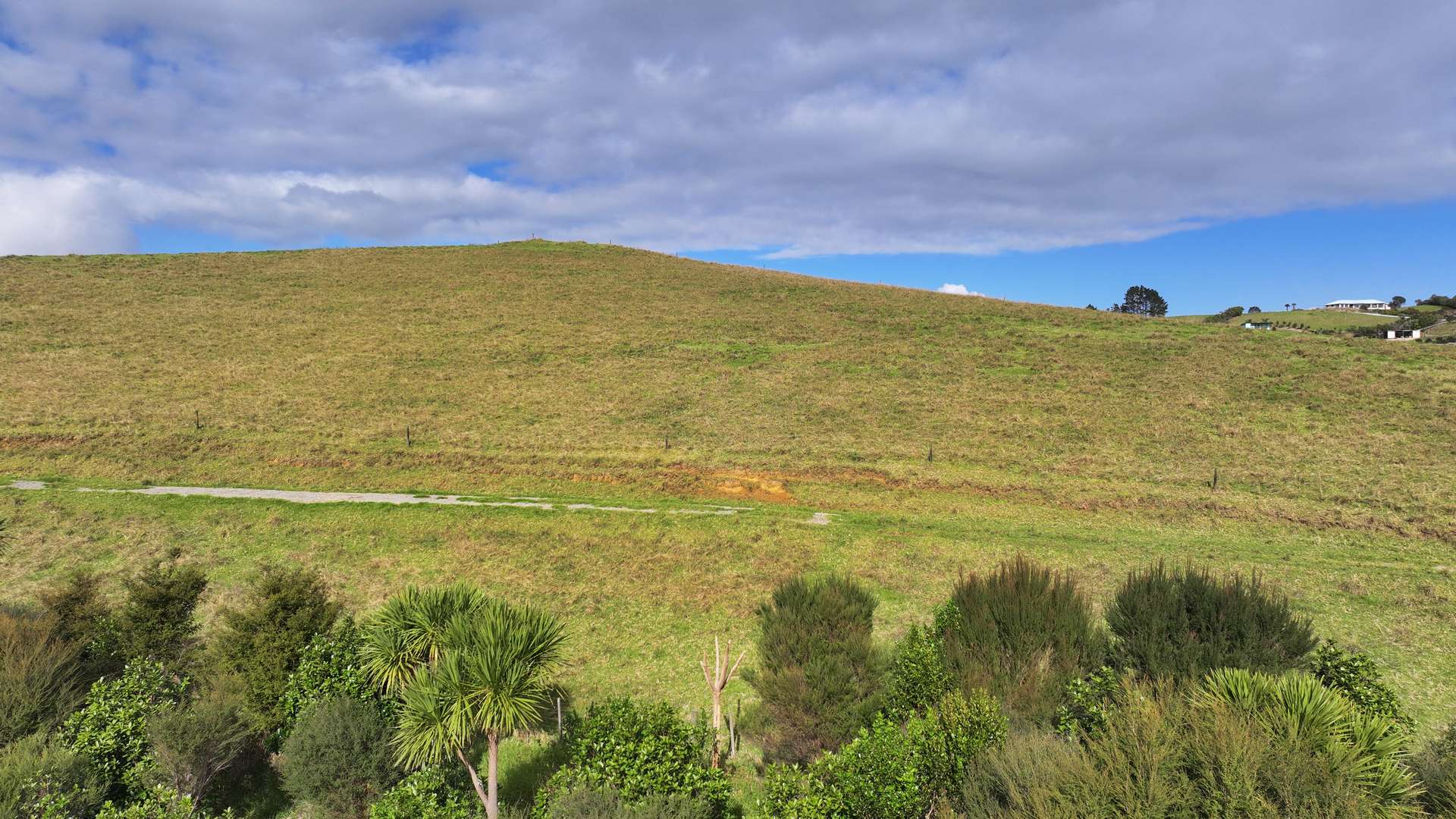 Lot 1 State Highway 10 photo 9