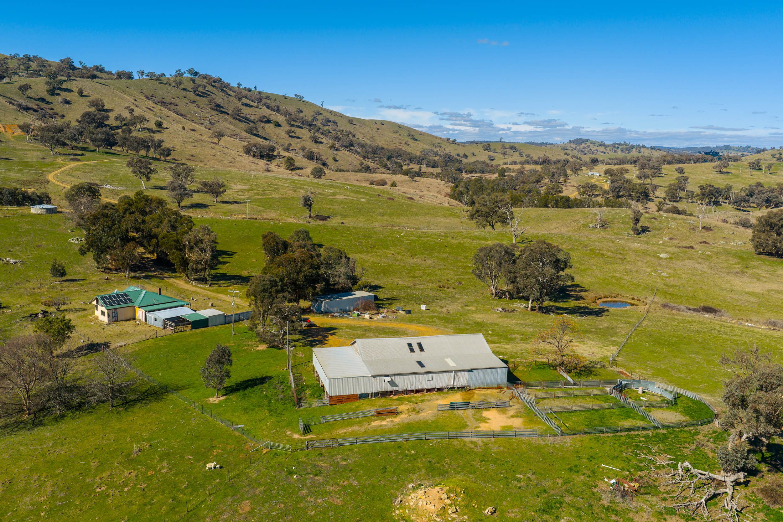 334 Lucky Swamp Road, Crooked Corner via — photo from Ray White Rural Goulburn