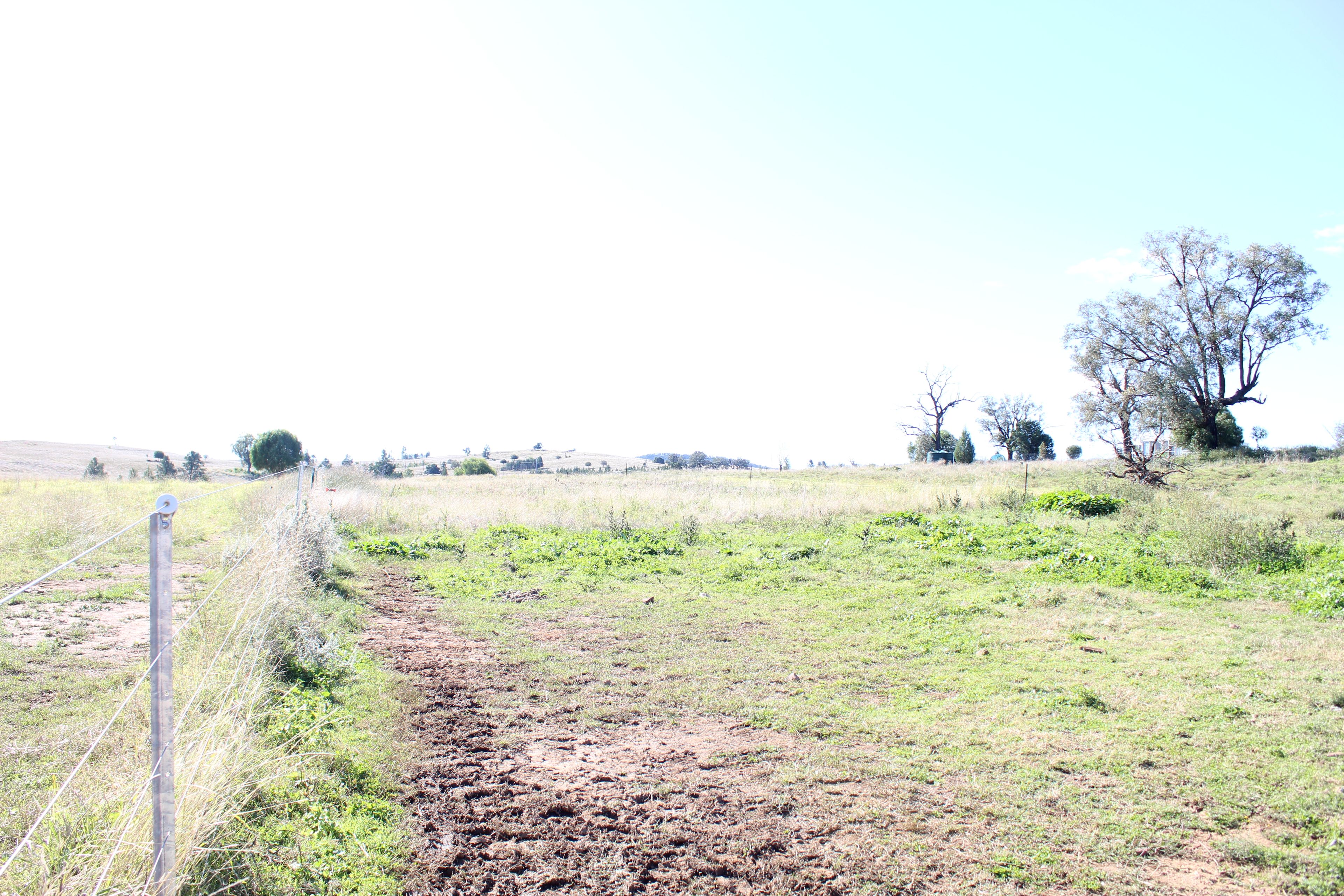 Lot 5152 Salter Street, Bingara, NSW 2404 Land for Sale Ray White