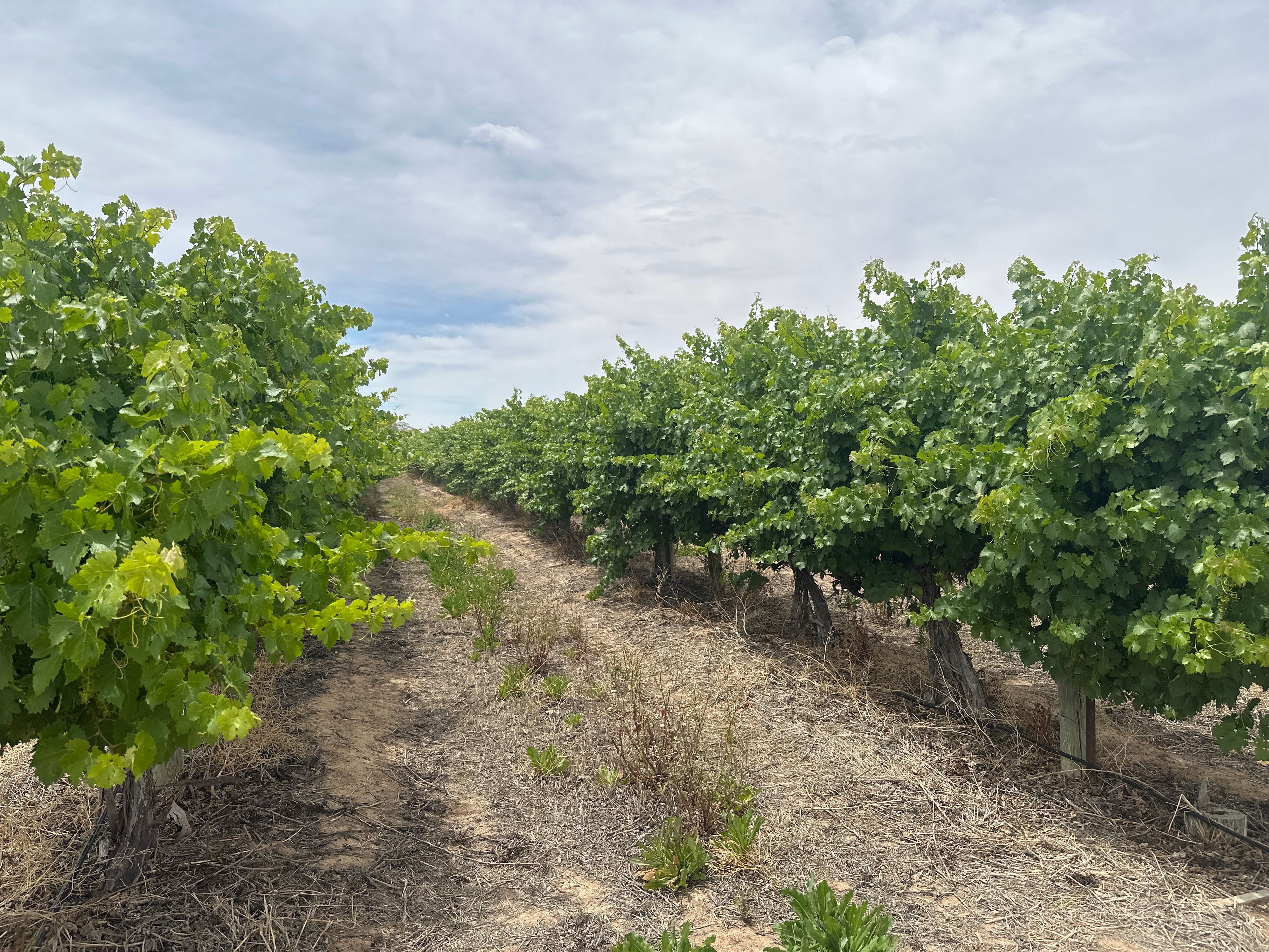 Lot 22 Brand Road — photo 5 of 12