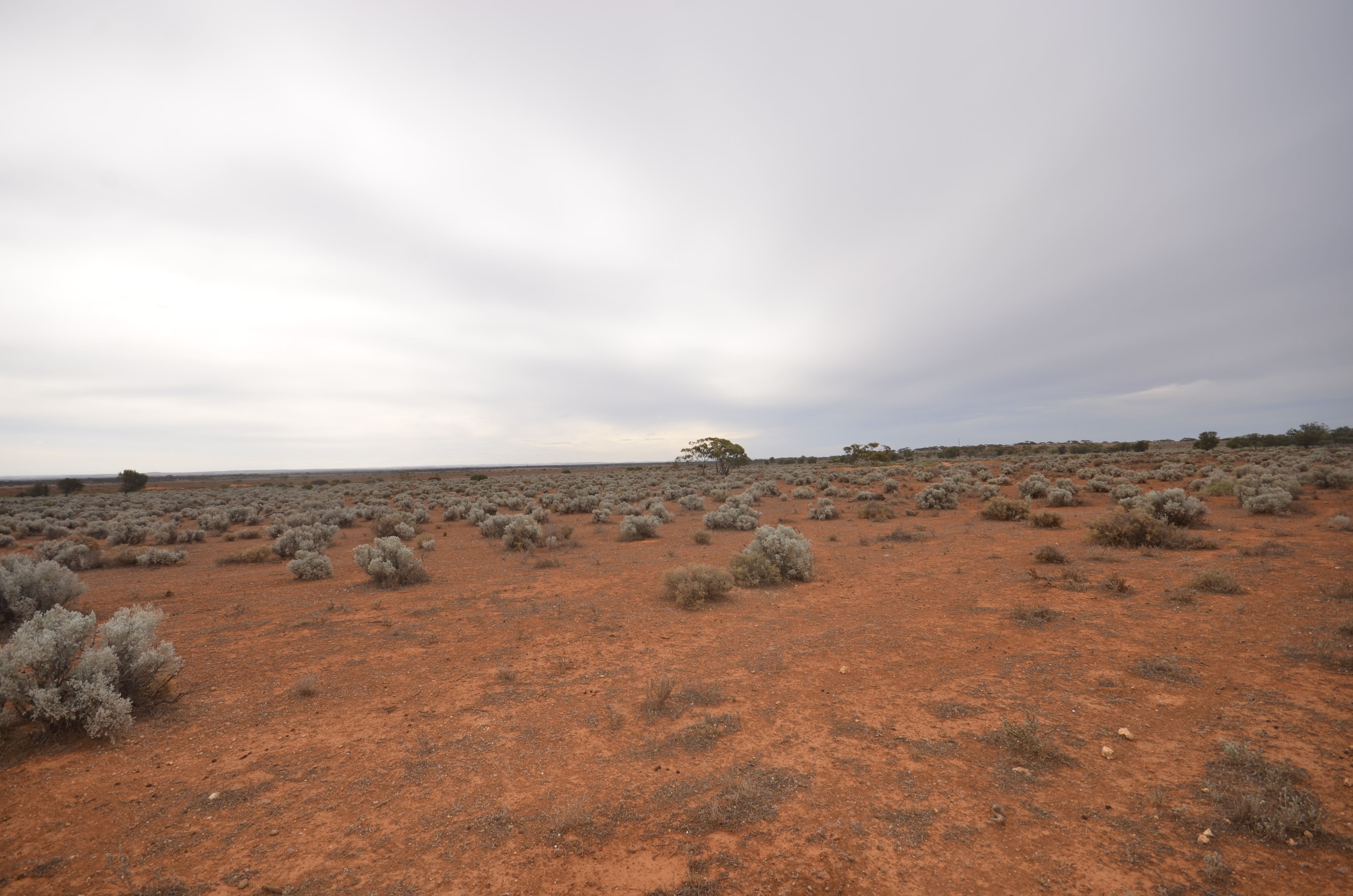 Lot 26 Mary Mont Road, Mount Mary, SA 5374