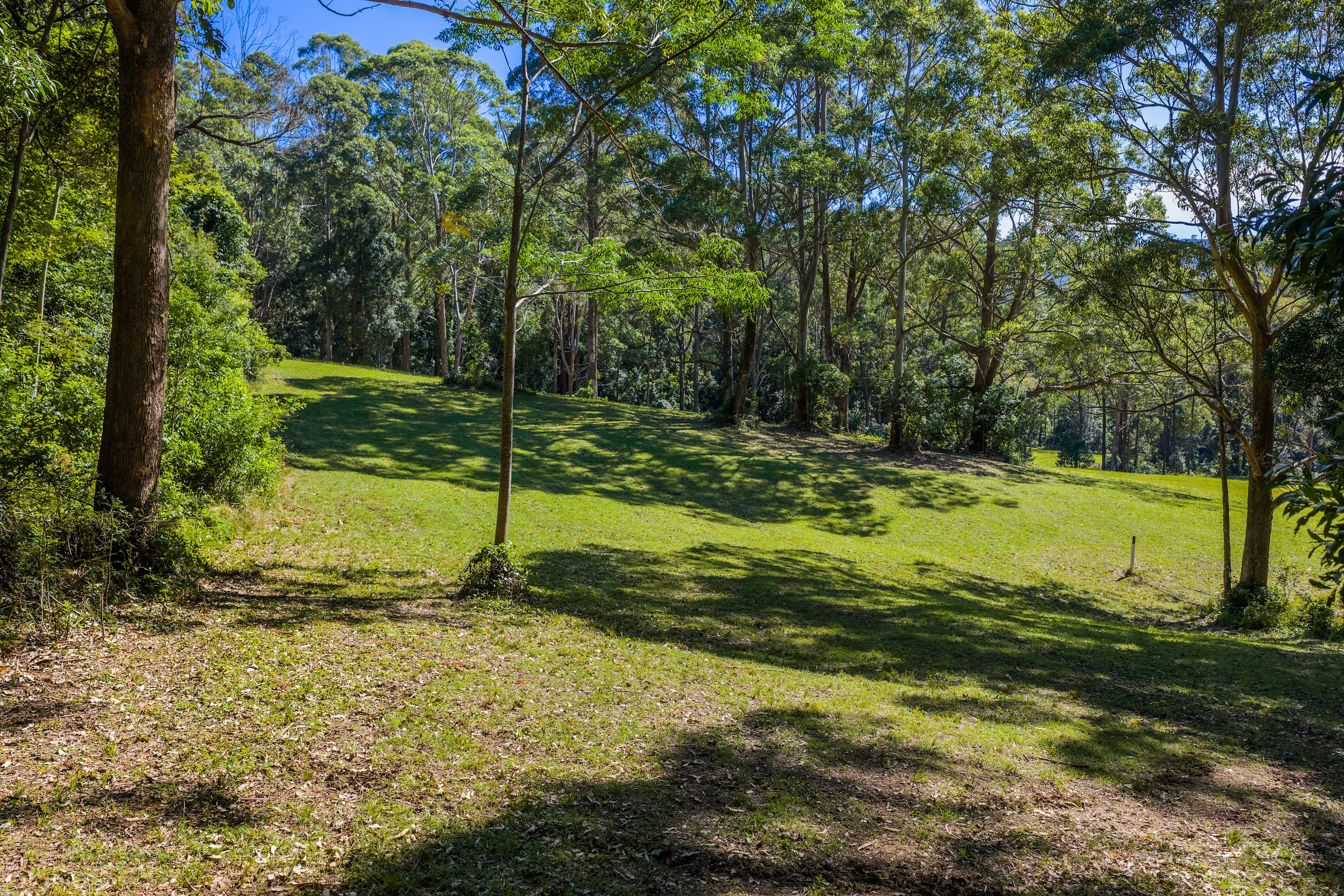 'The Ridge Farm' Lots 22 & 102 Free Selectors Road — photo 12 of 23