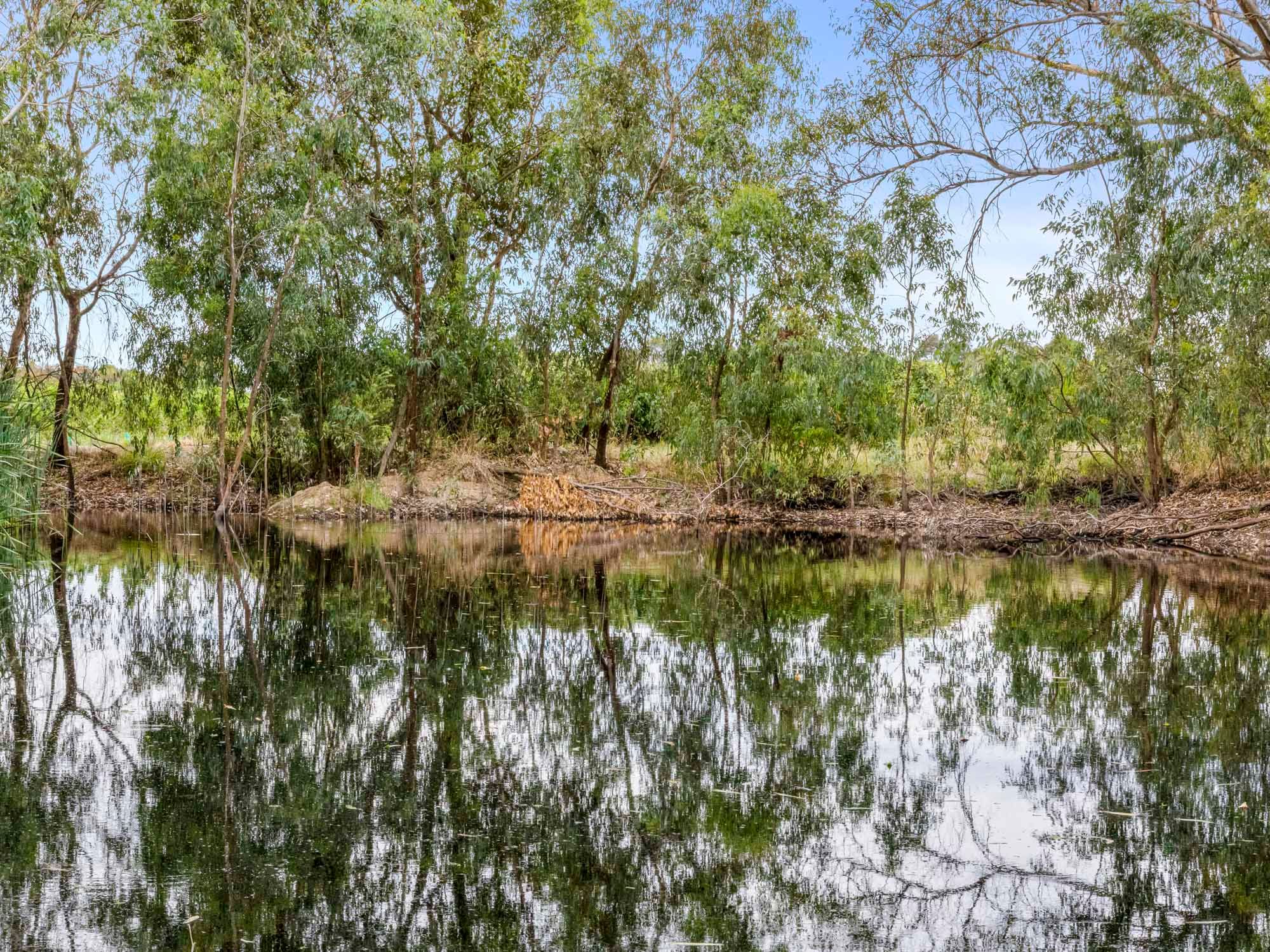5160 Barmah-Shepparton Road — photo 10 of 30