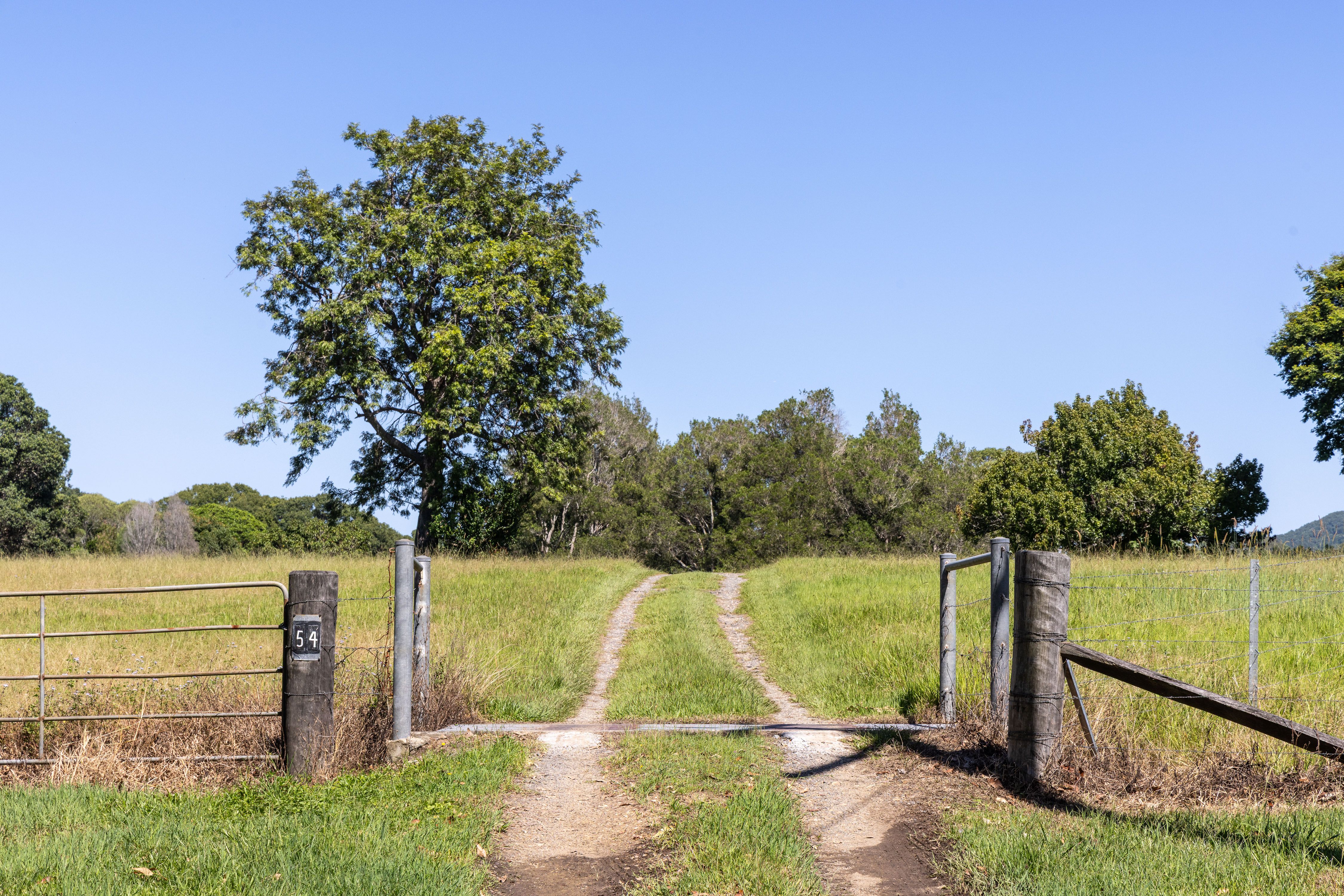 54 Bagnalls Road, Cooroy, QLD 4563