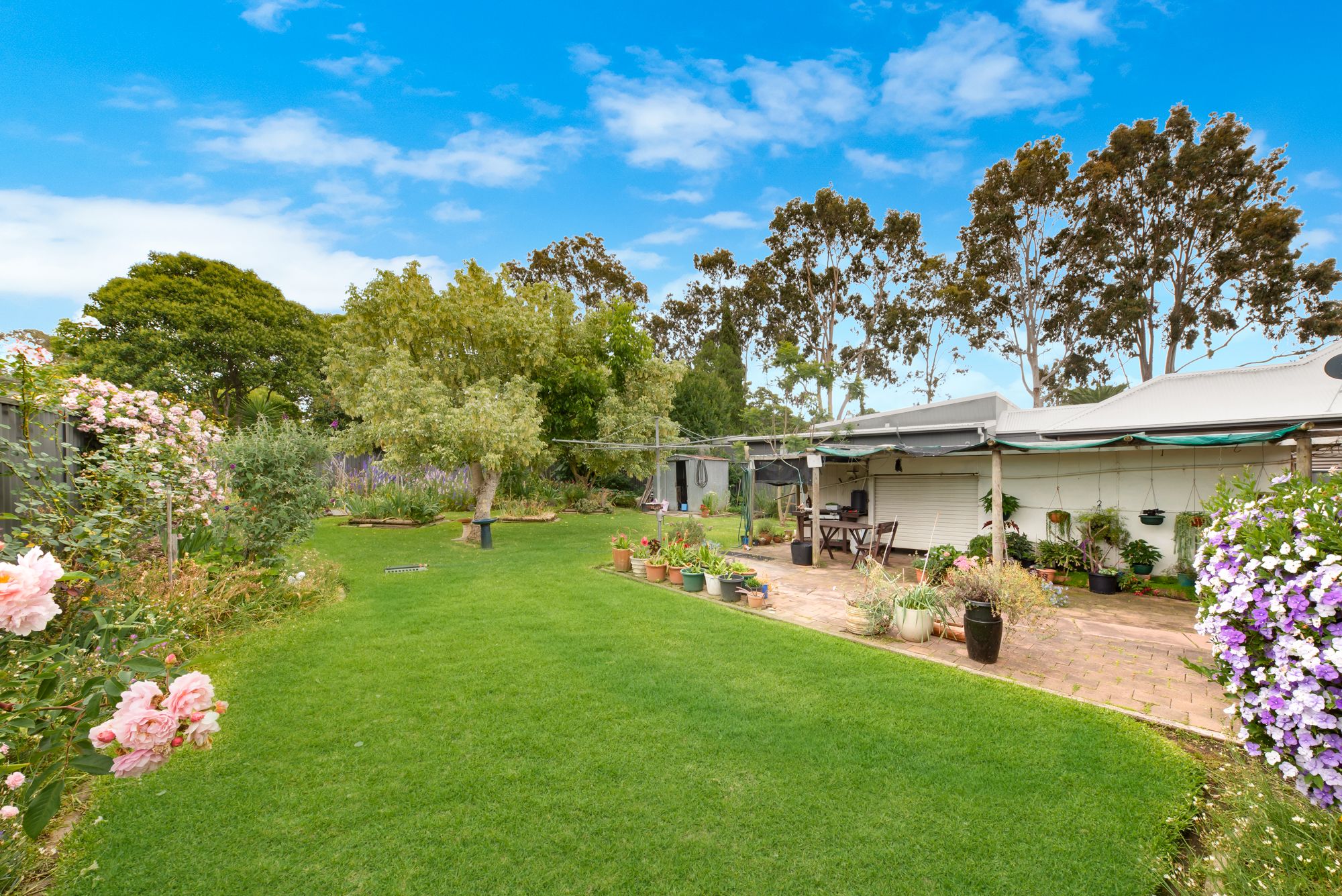 23 Lerida Avenue, Camden, NSW 2570