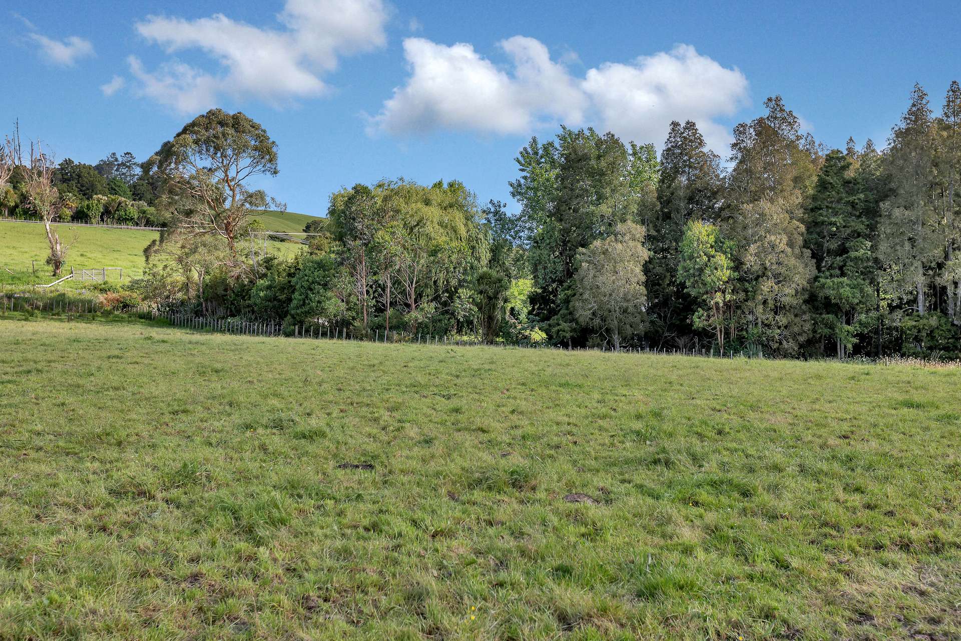 Lot 6 Whananaki North Road photo 6