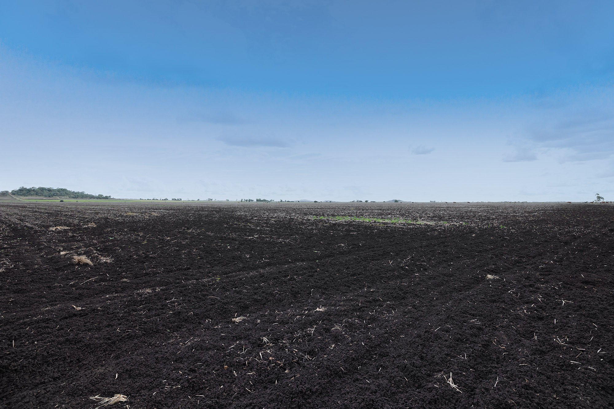 Lot 5 Oakey-Pittsworth Road, Aubigny, QLD 4401