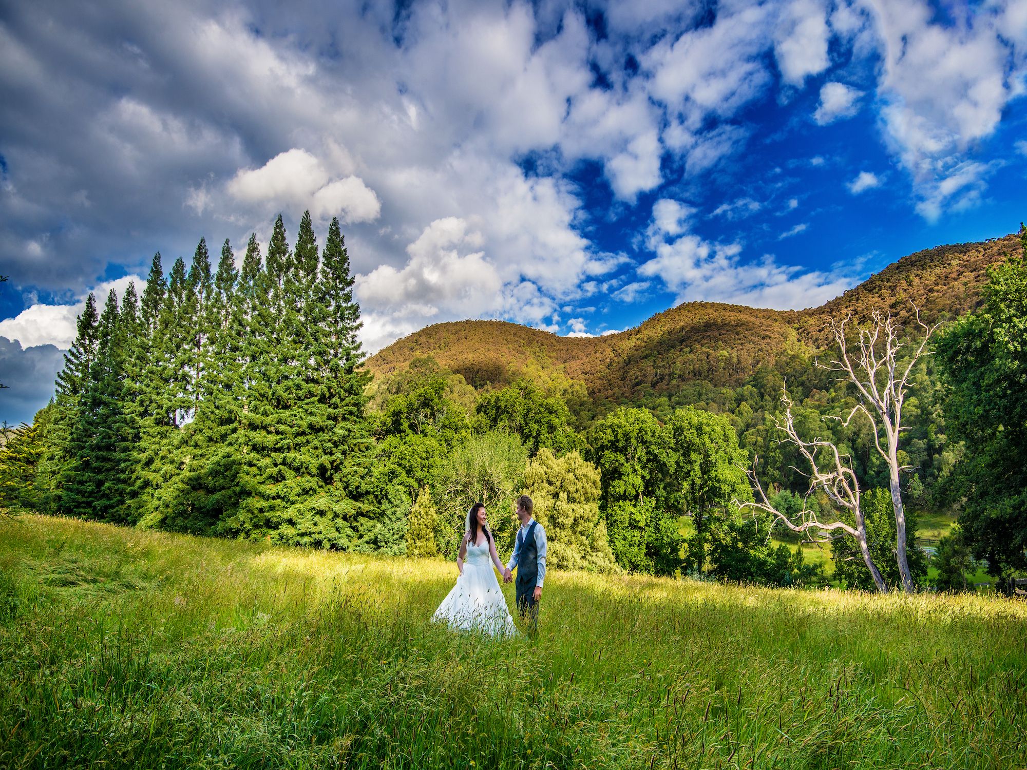 105 Toorongo Valley Road, Noojee, VIC 3833 Rural Lifestyle Property