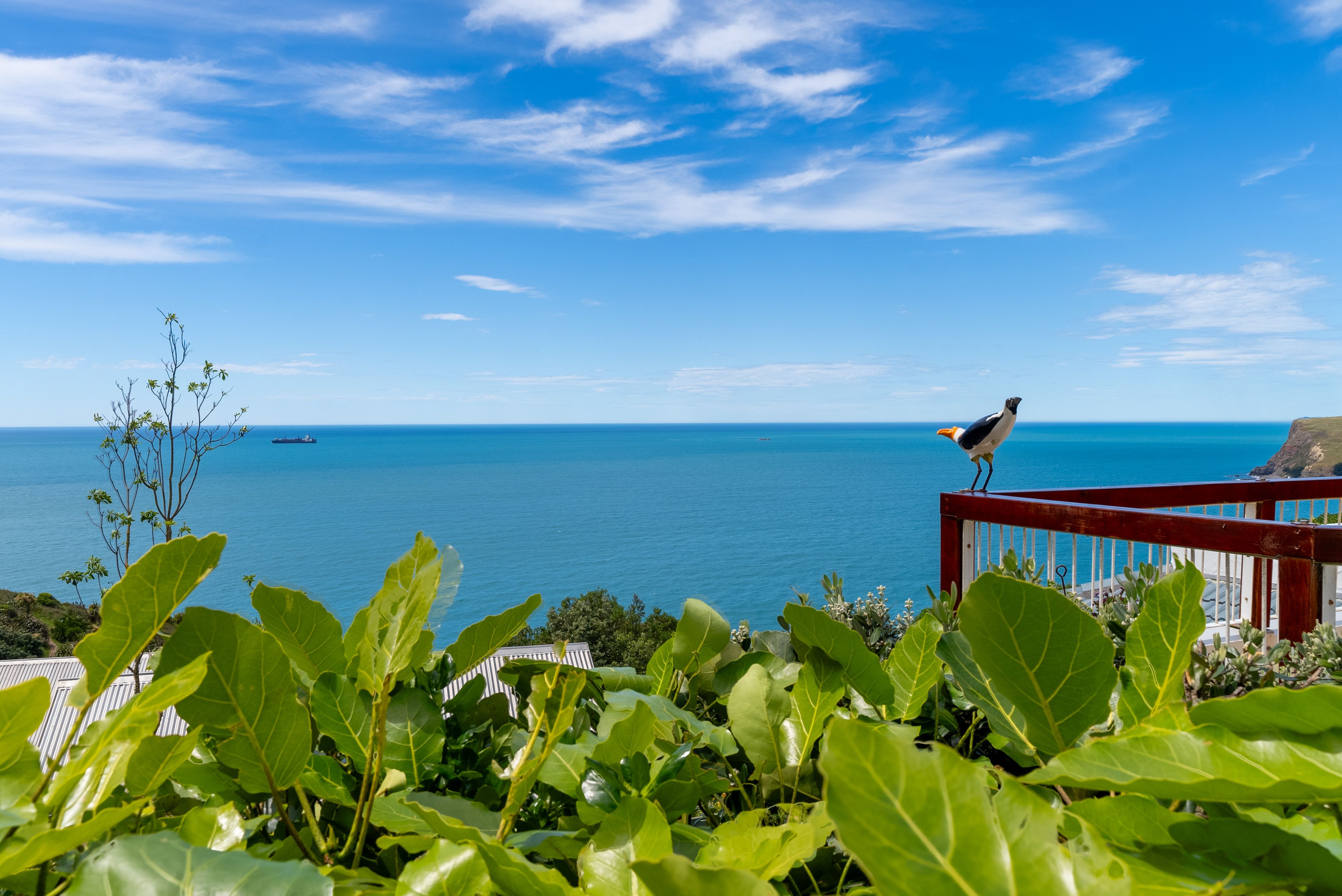 16 Smugglers Cove, Sumner, Christchurch City
