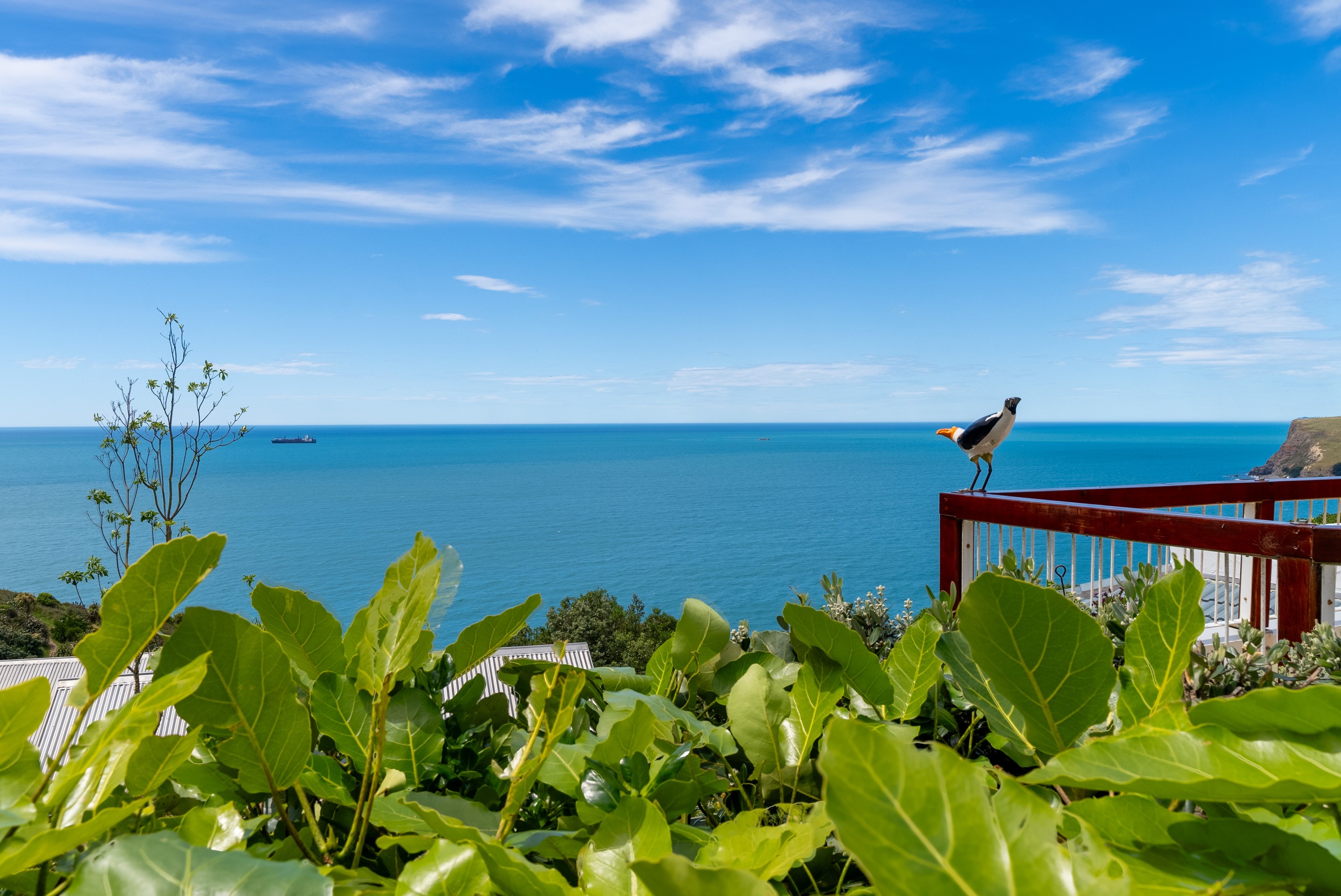 16 Smugglers Cove, Sumner, Christchurch City