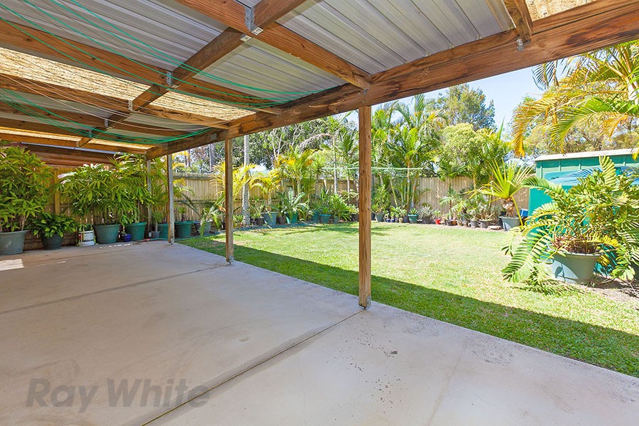 24 Ravenswood Lane, Springfield, QLD 4300