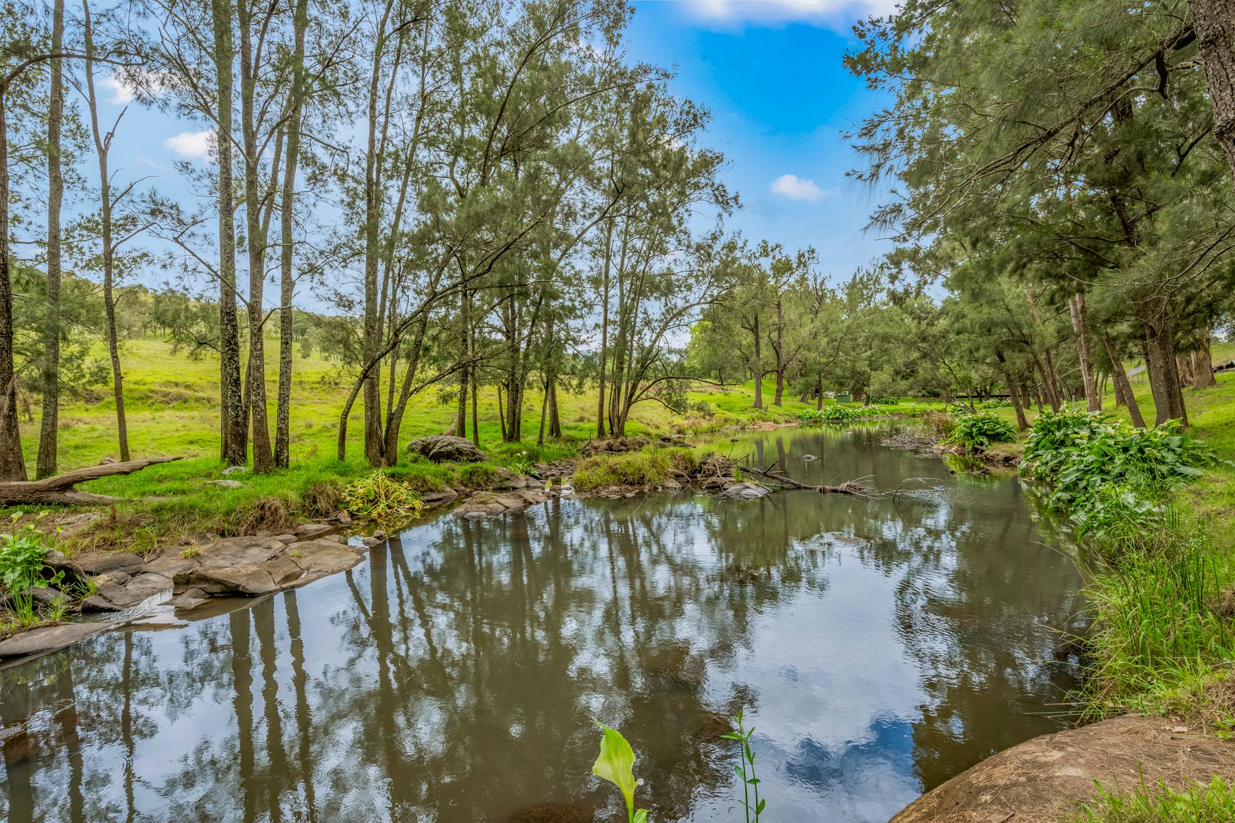 Carrowbrook Road Mount Olive — photo 5 of 15