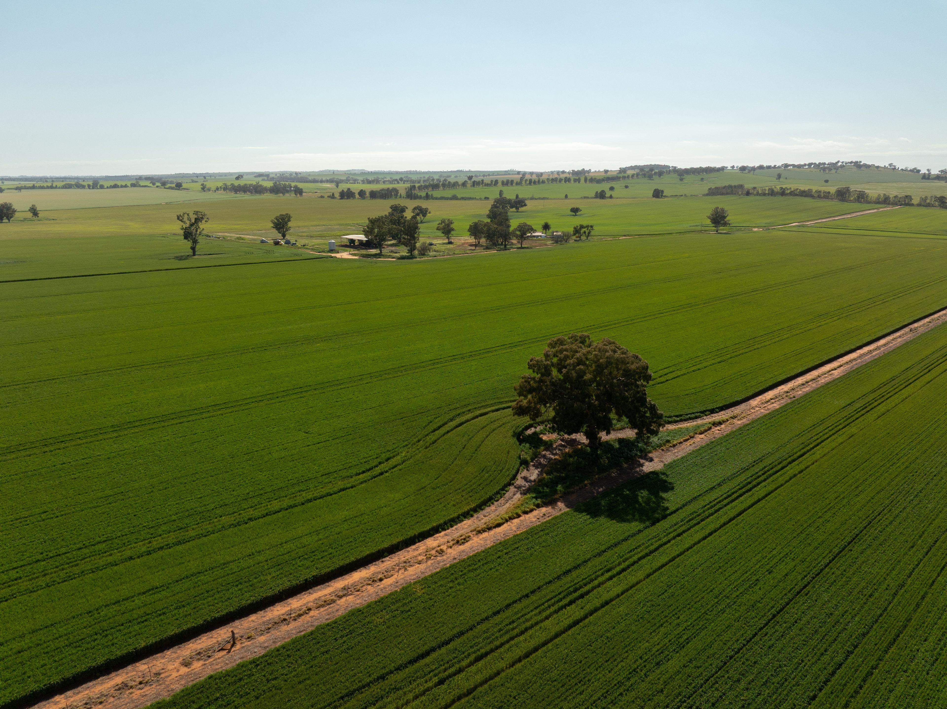 267 Gap Hall-Coolamon Road — photo 5 of 13