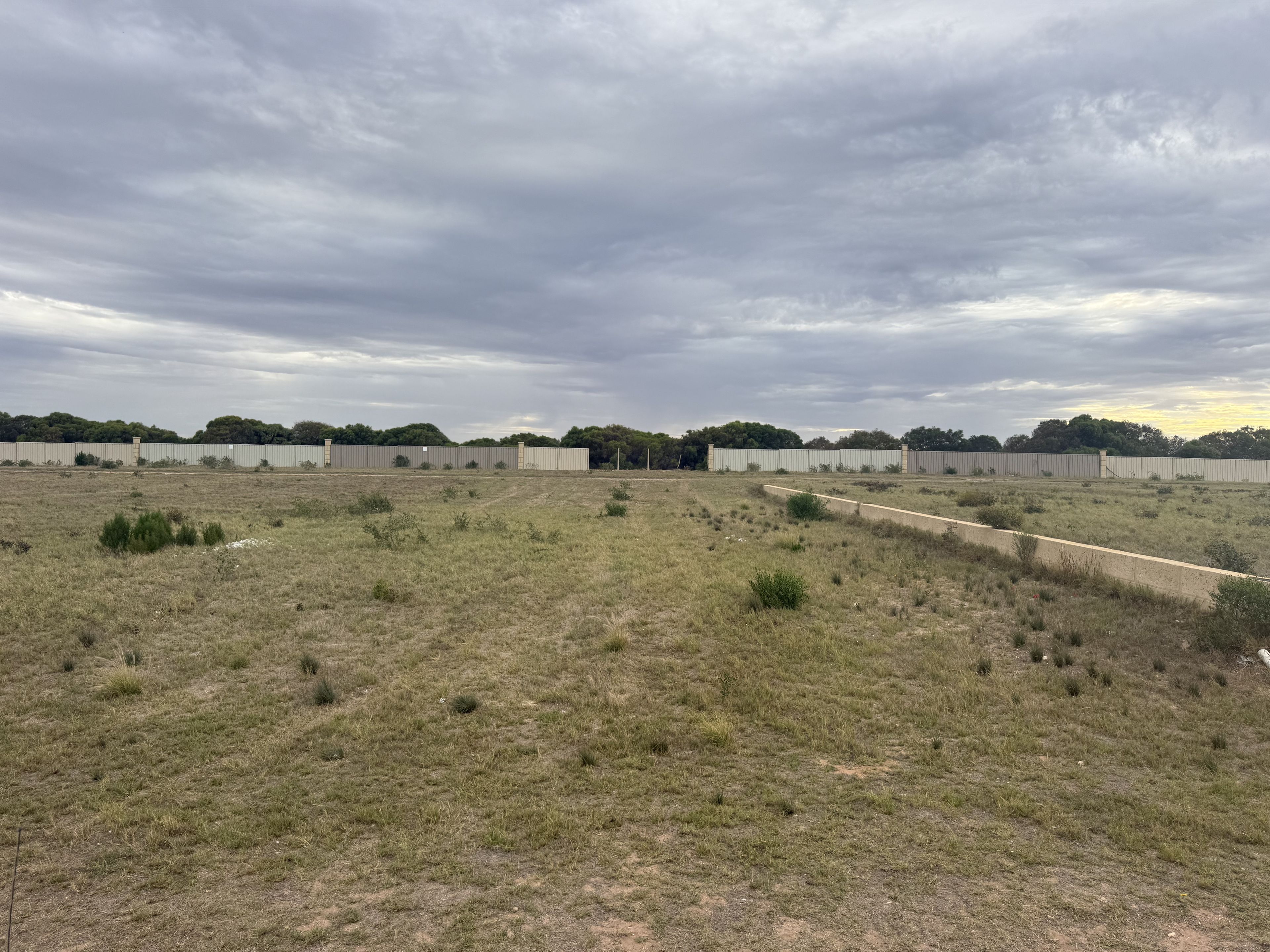 39 Eurithmic Link, Wandina, WA 6530