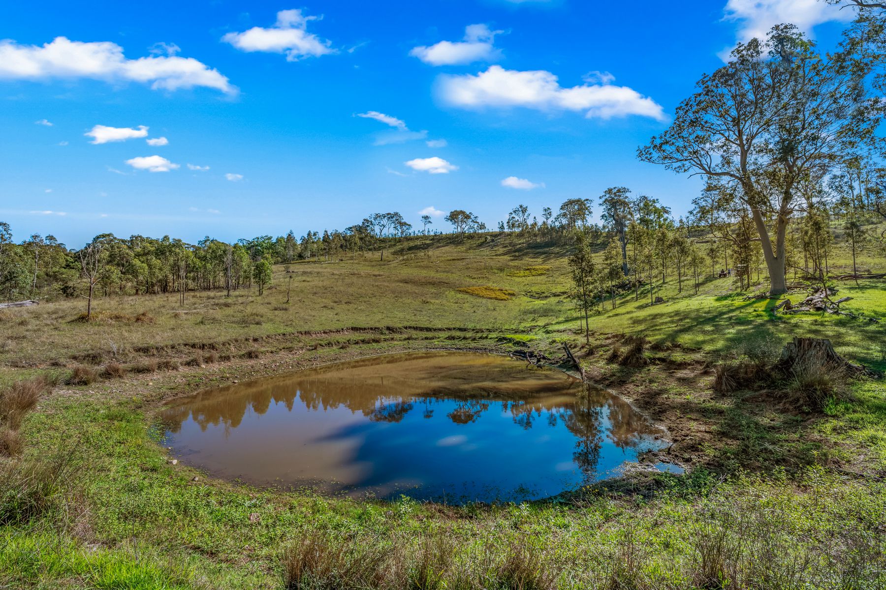 Off Goorangoola Road Greenlands — photo 11 of 19