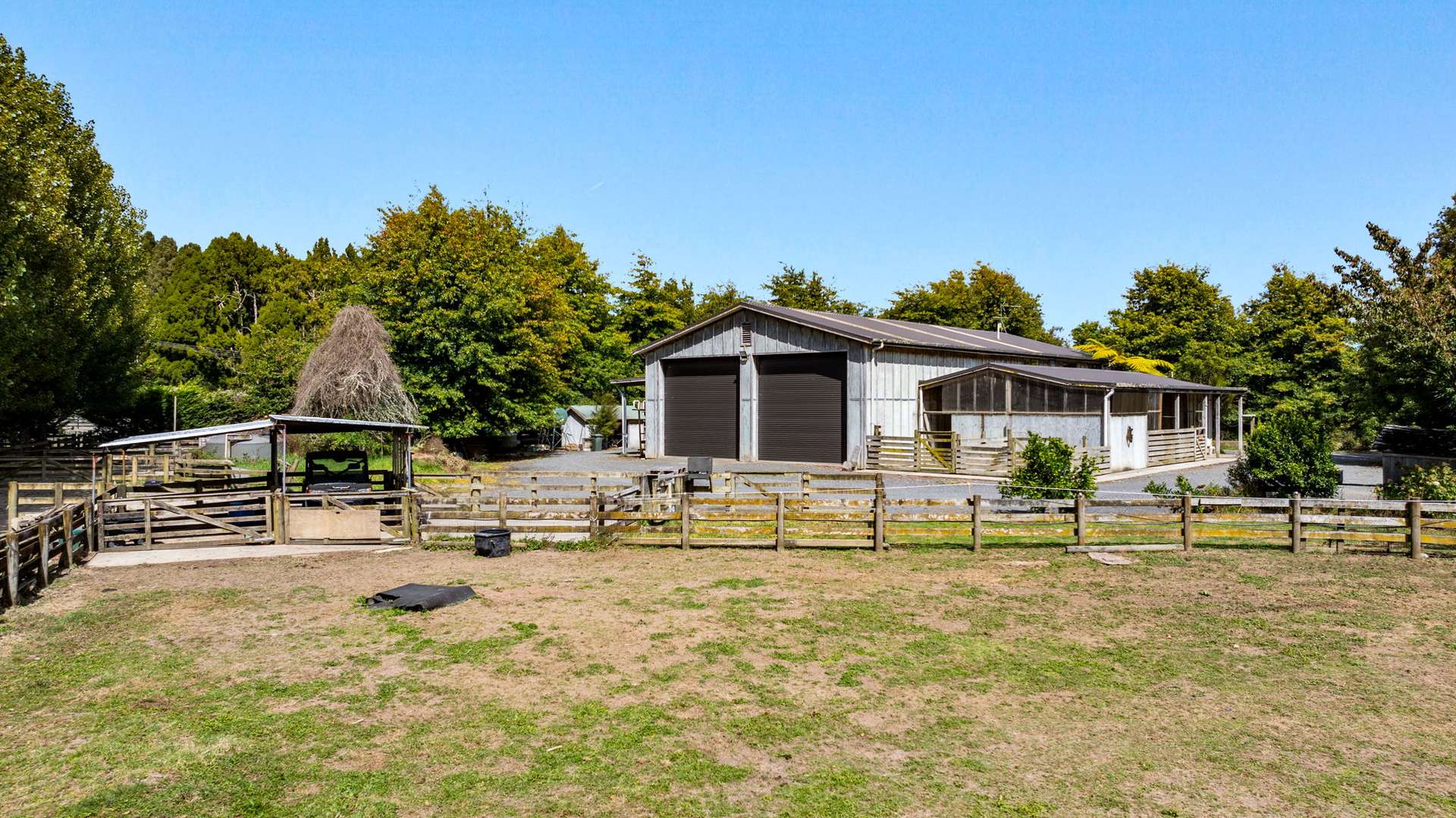 36F Farquharson Road photo 6
