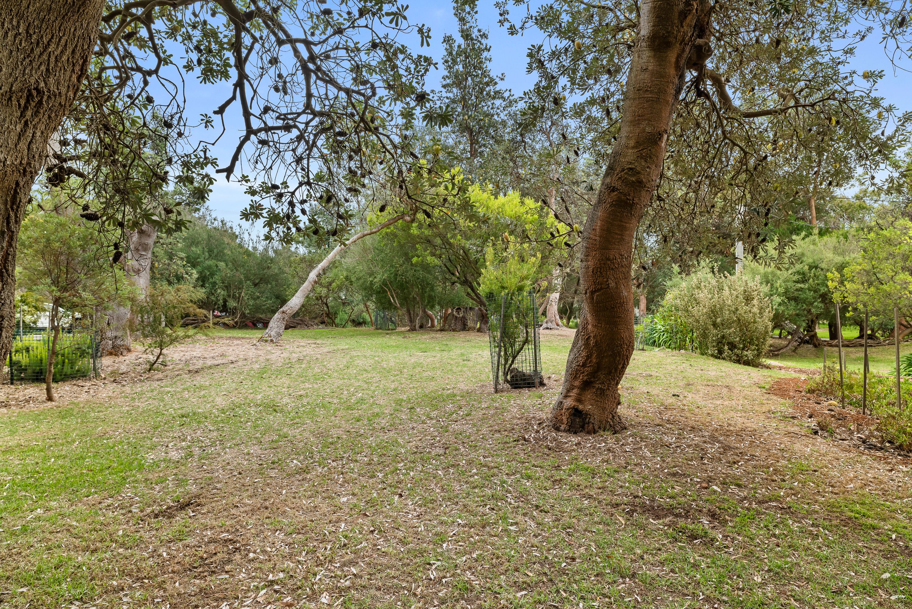 64 Honeysuckle Grove, Silverleaves, VIC 3922 Land for Sale Ray