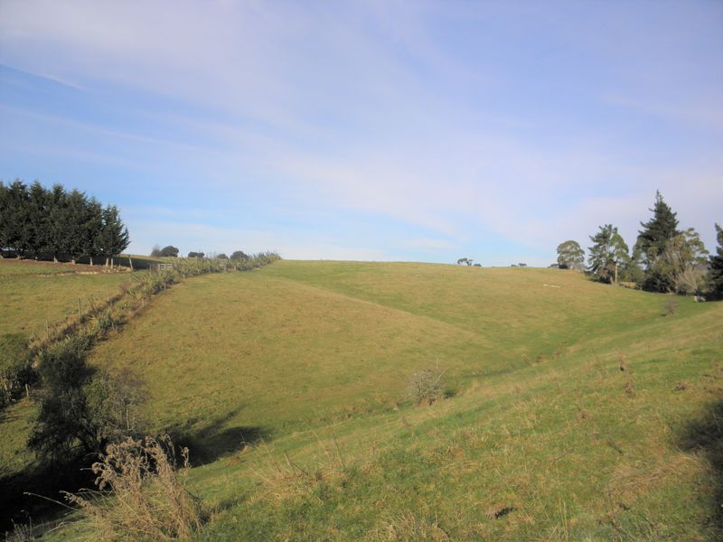 Live High on The Hill in Hampden - Hampden