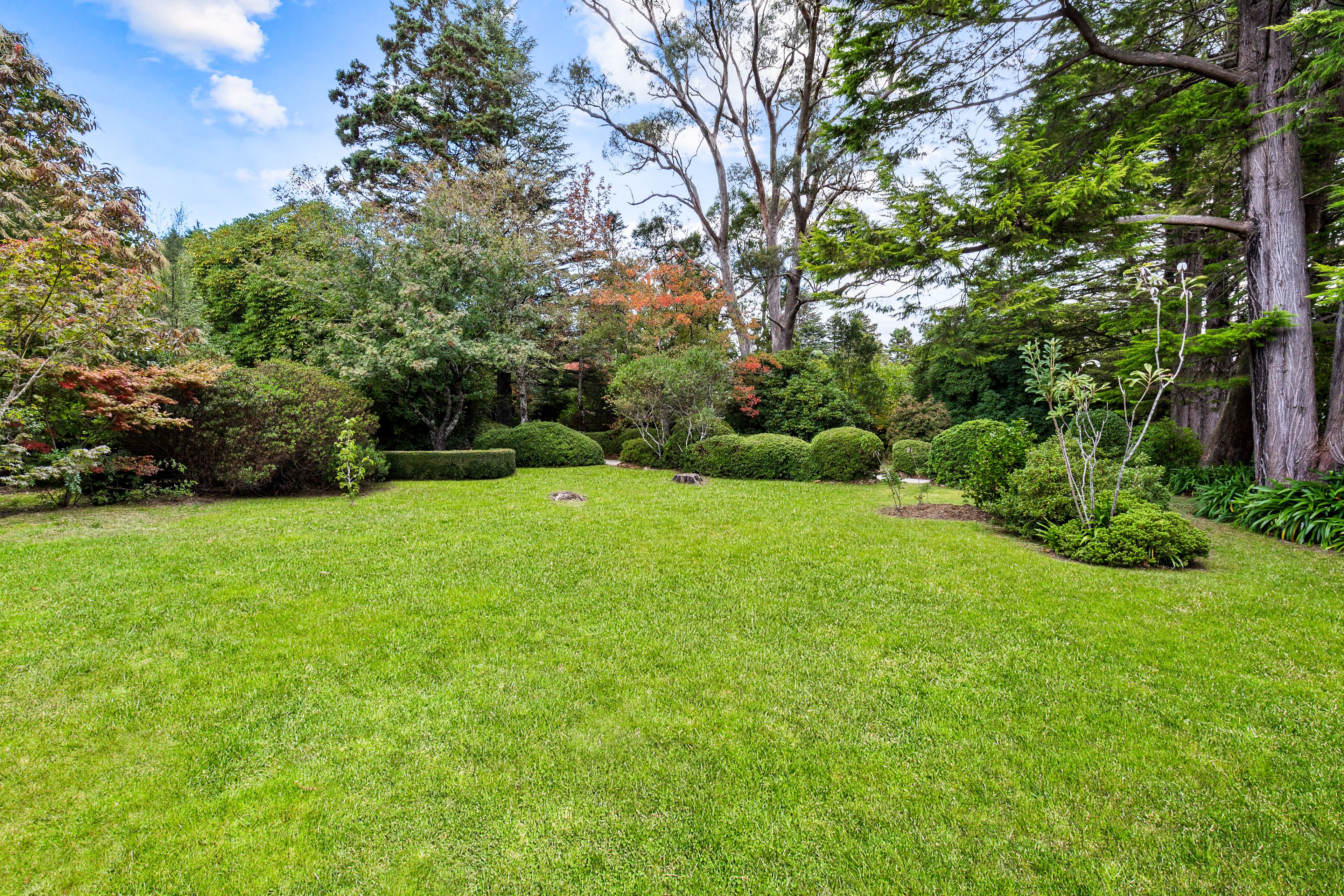 63 Leichhardt Street — photo 6 of 27