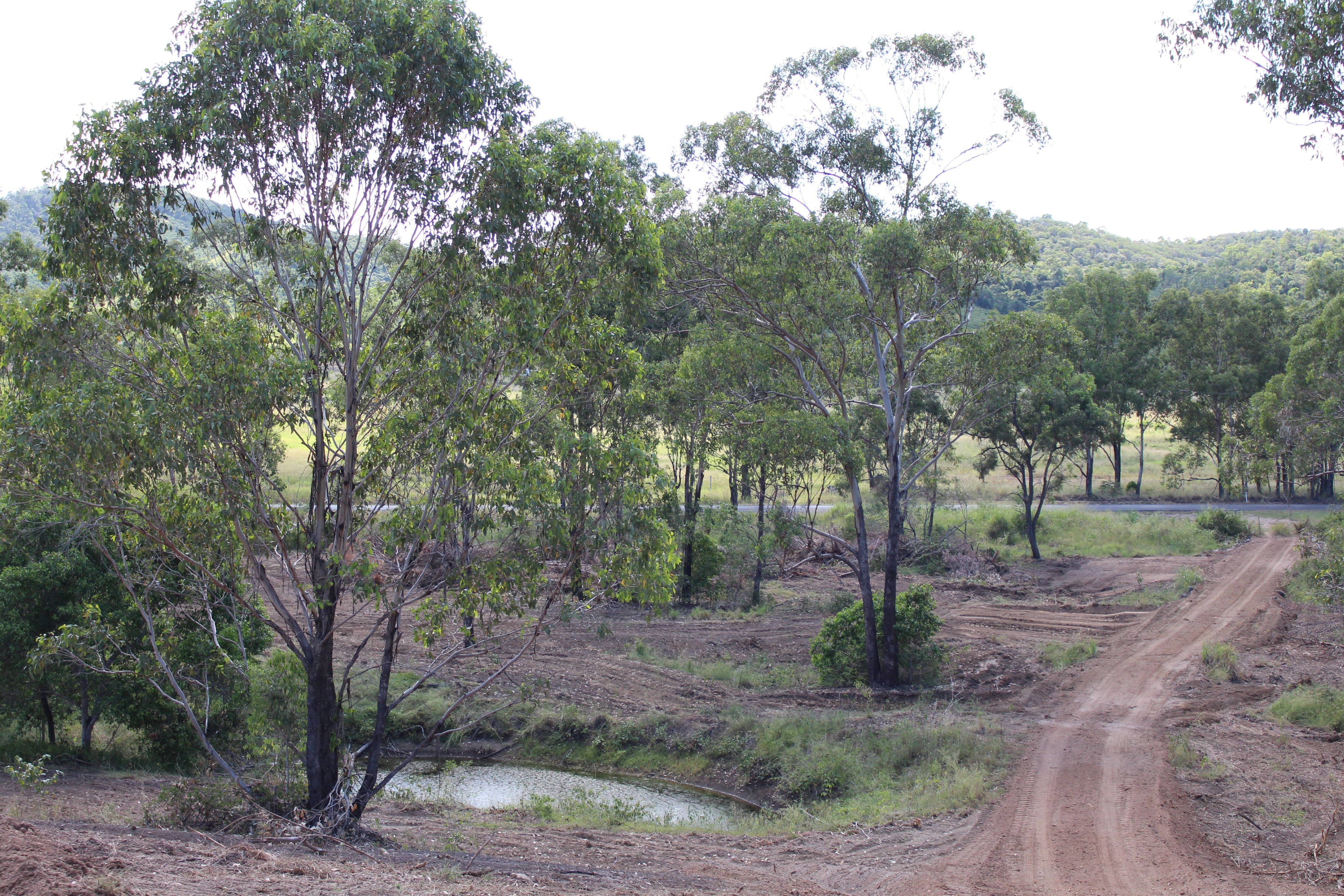 449 Darts Creek Road, Darts Creek, QLD 4695