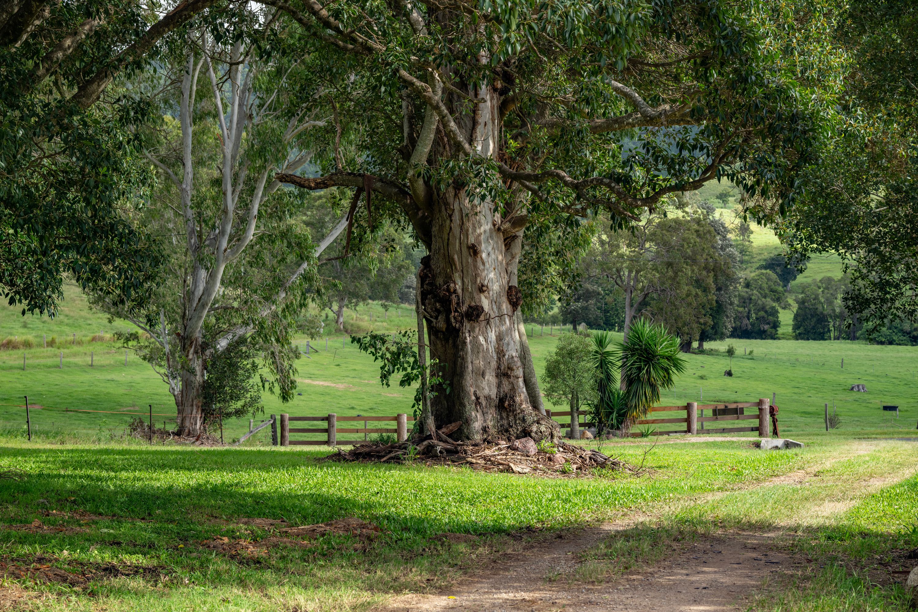 287A Marys Creek Road, Marys Creek, QLD 4570